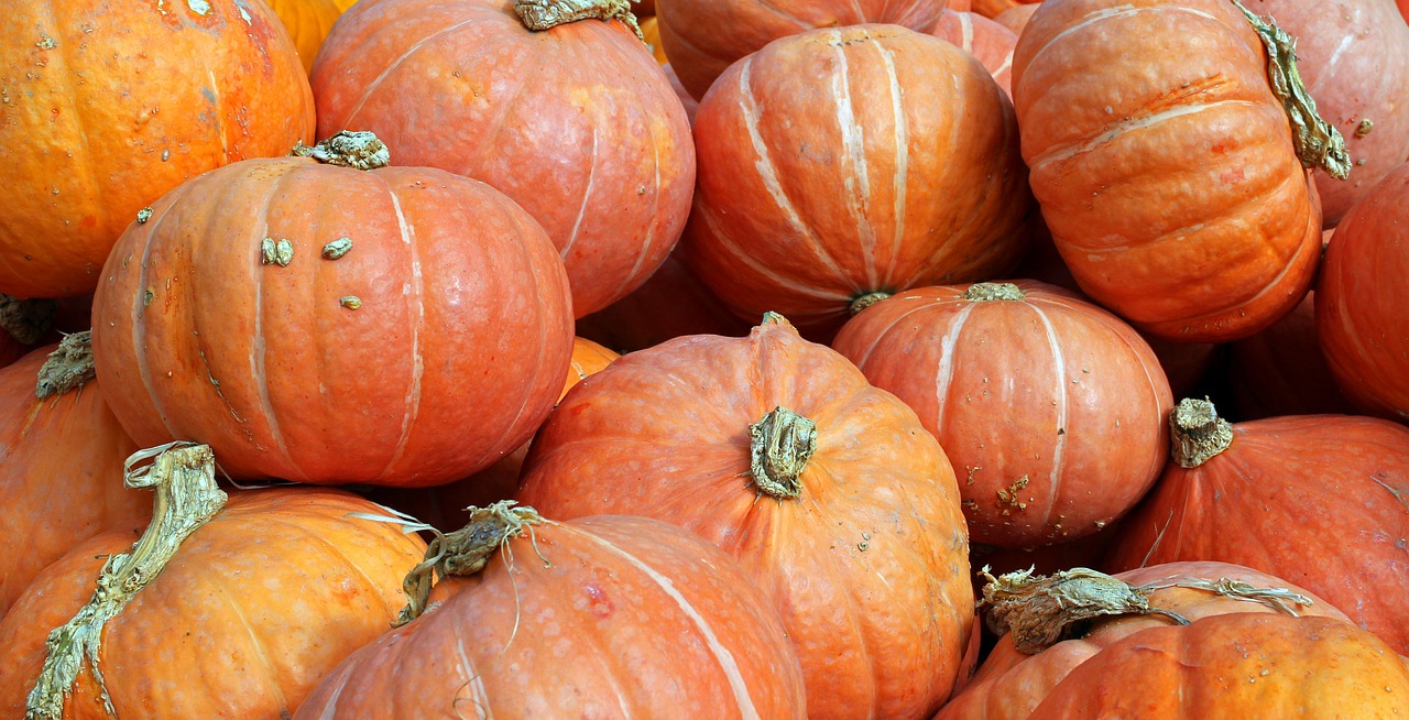 pumpkins autumn october free photo