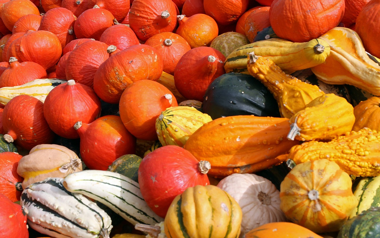 pumpkins autumn october free photo