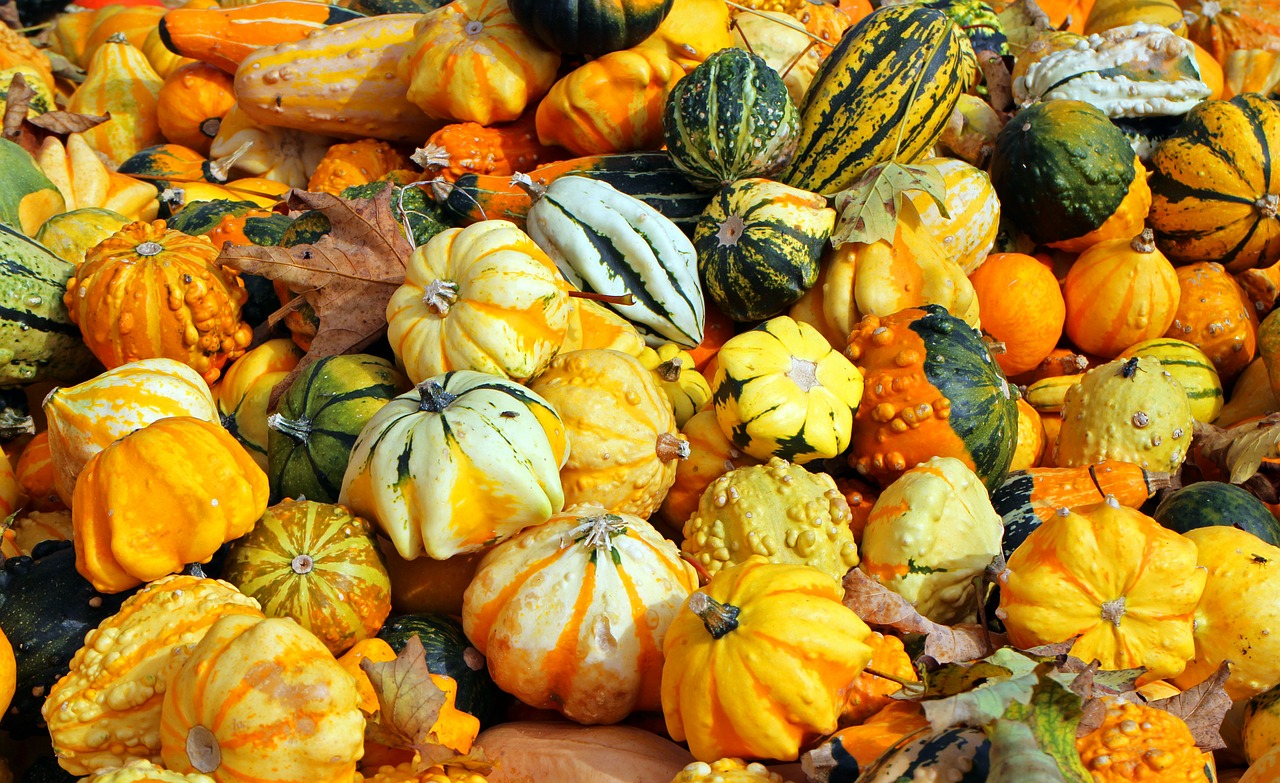 pumpkins autumn october free photo