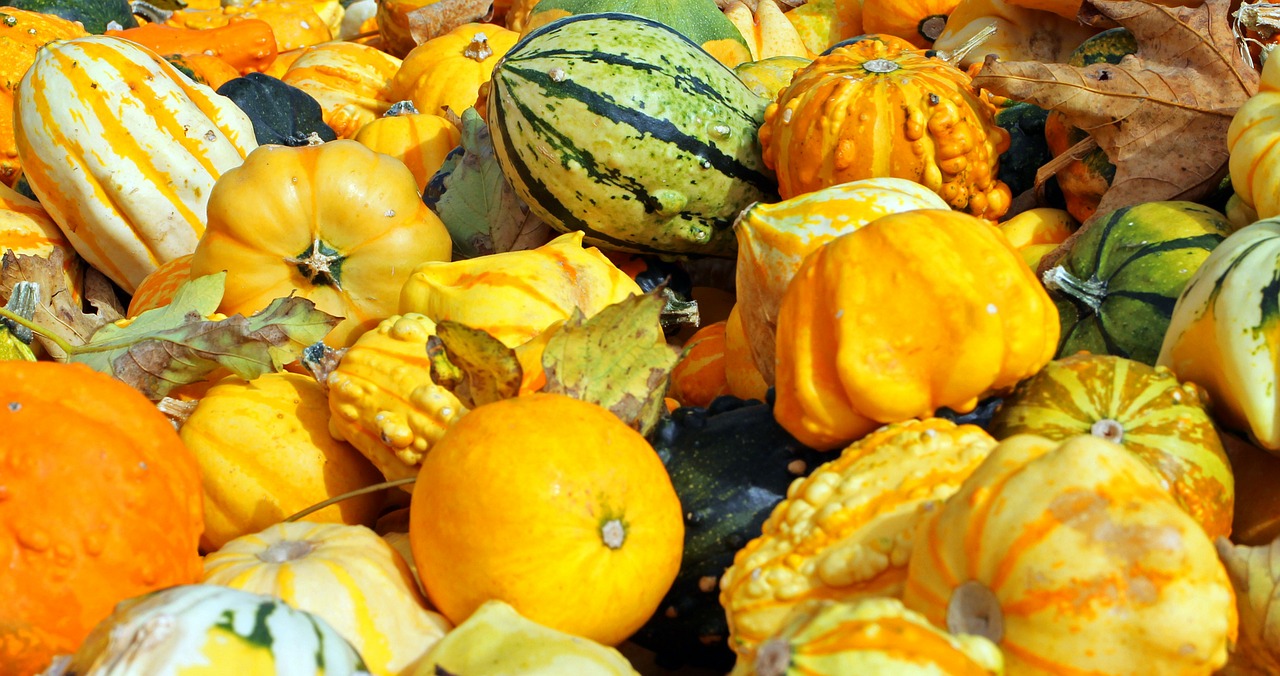 pumpkins autumn october free photo