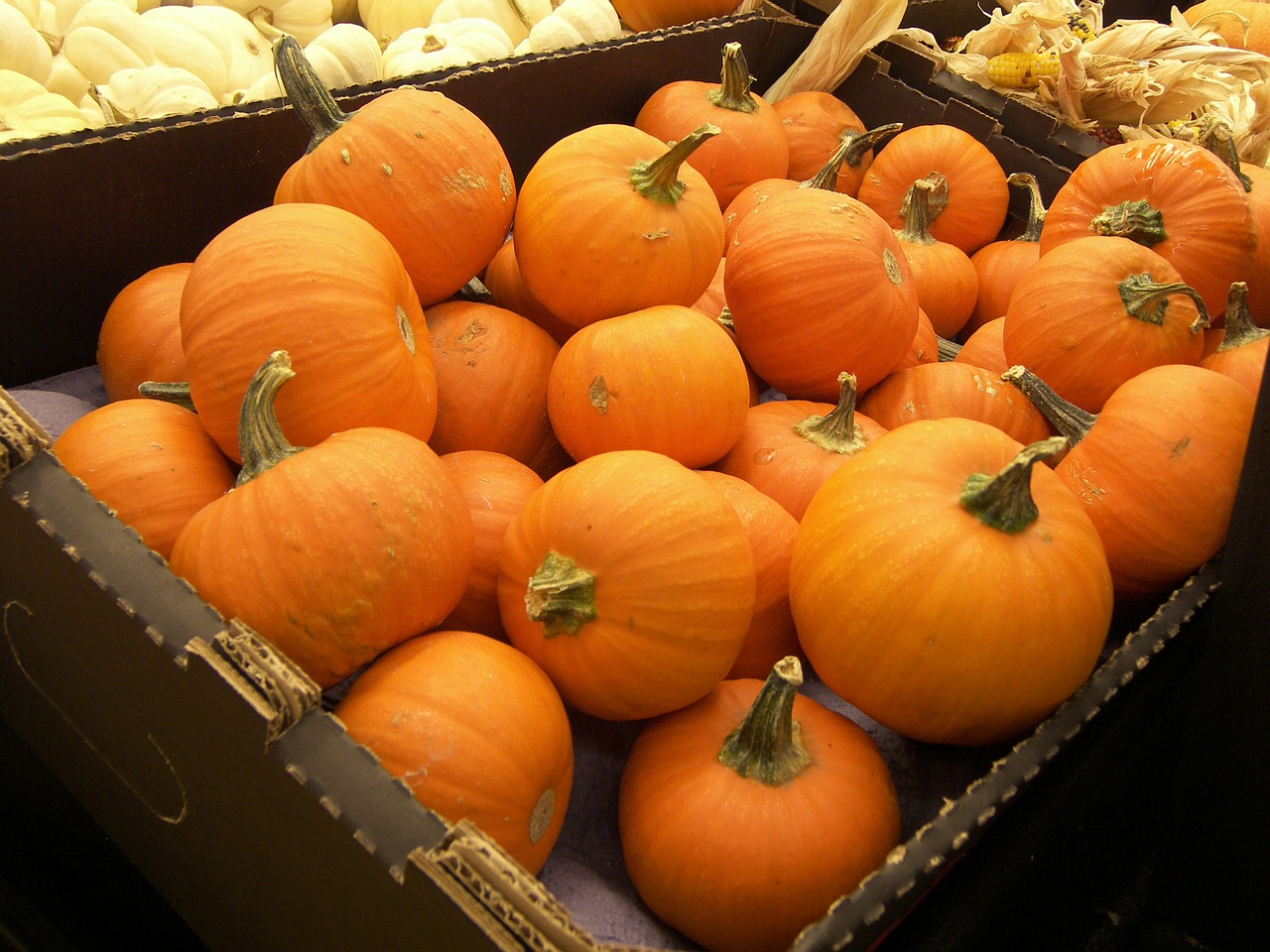 pumpkins crate food free photo