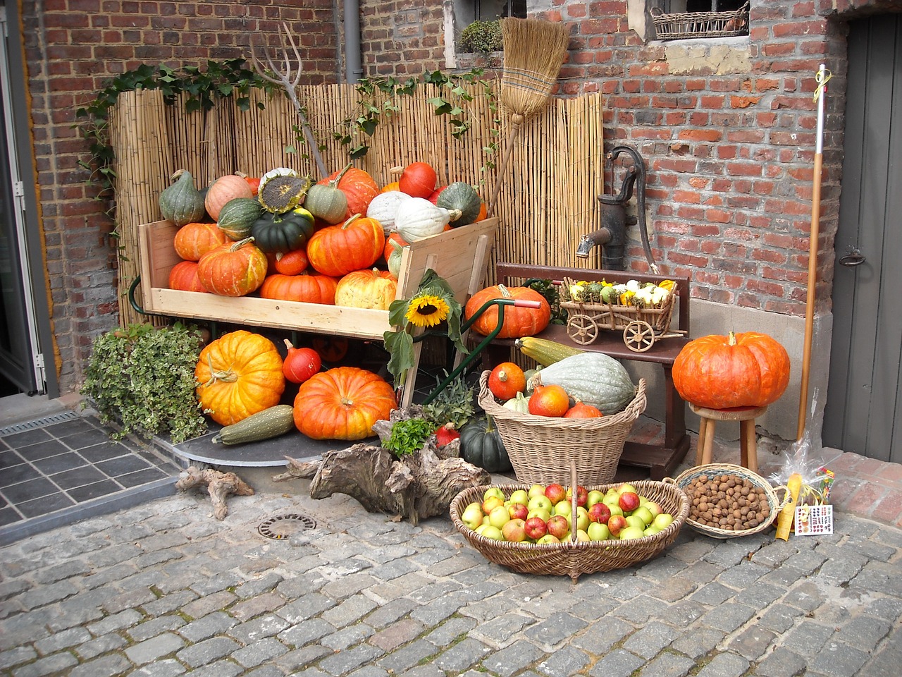 pumpkins fruits nuts free photo