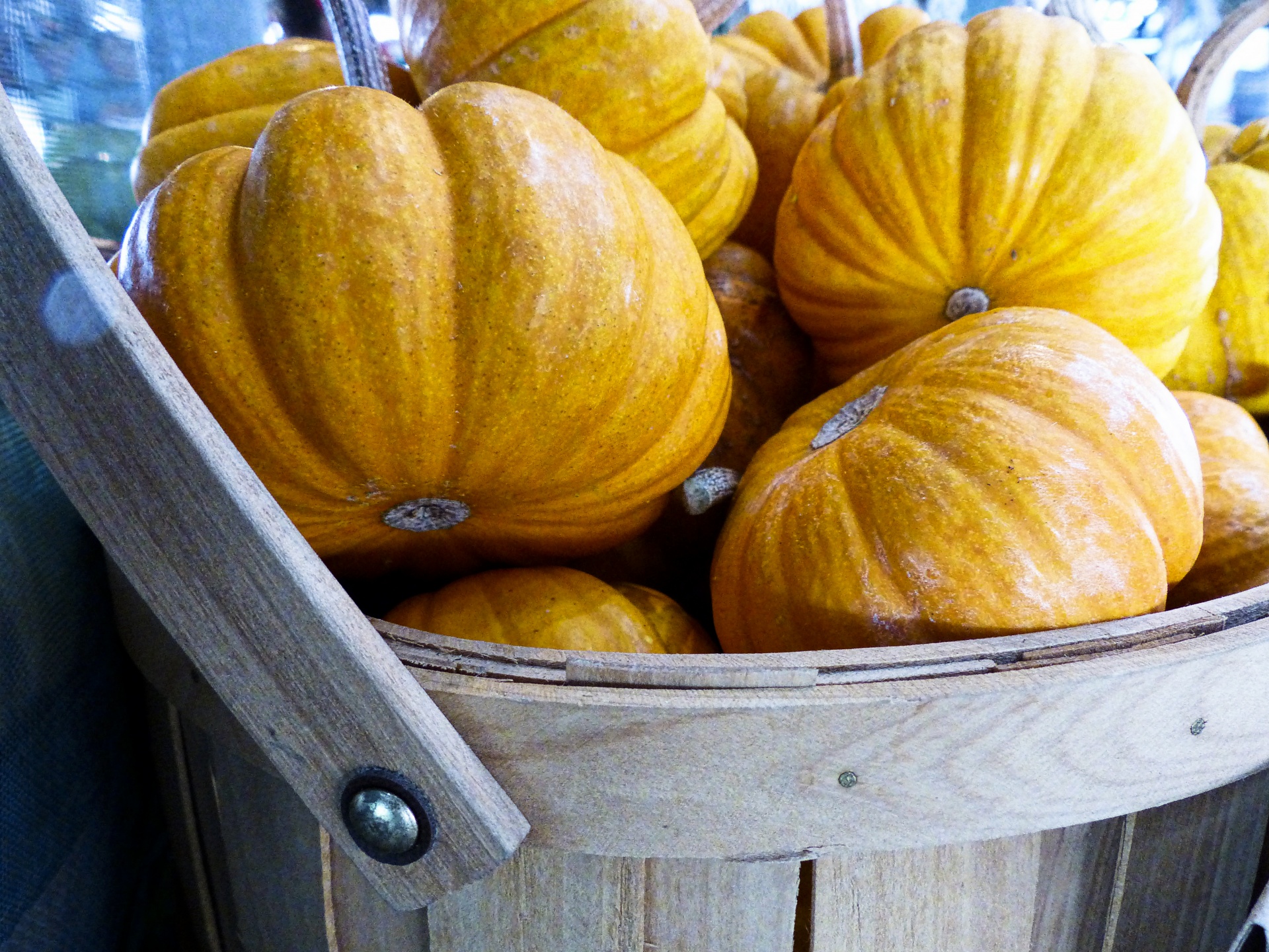 pumpkins basket closeup free photo