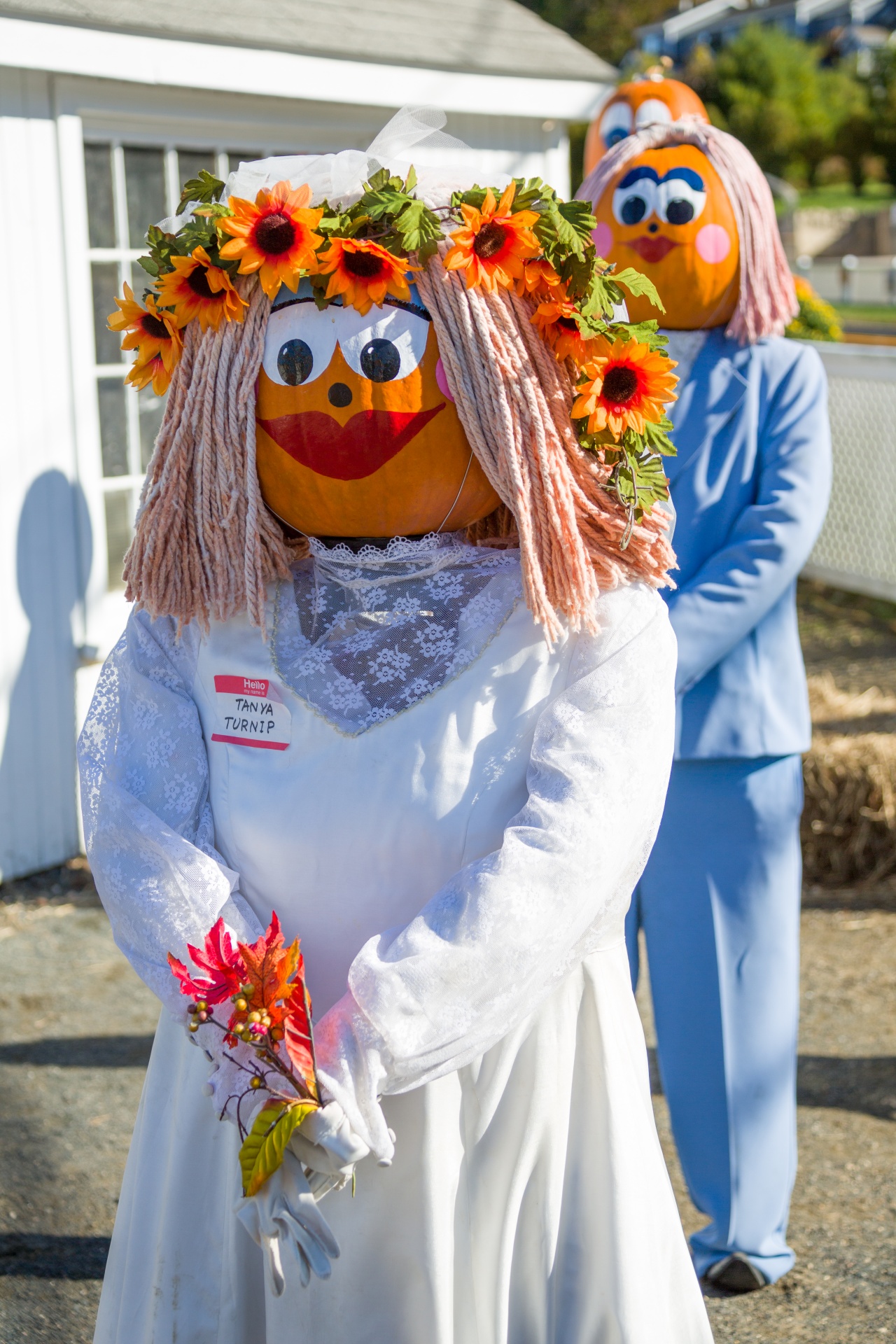 autumn bride celebration free photo