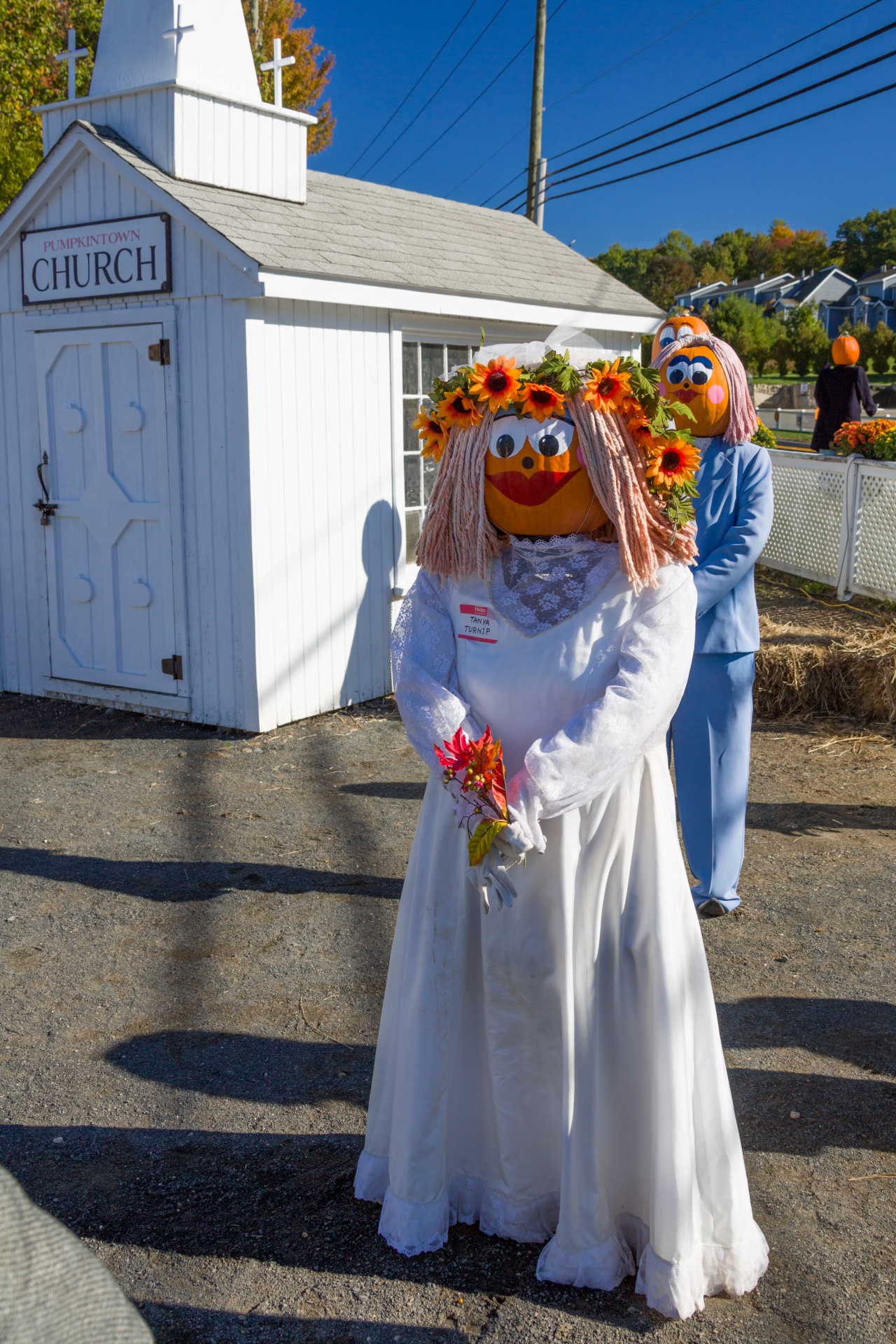 autumn bride celebration free photo