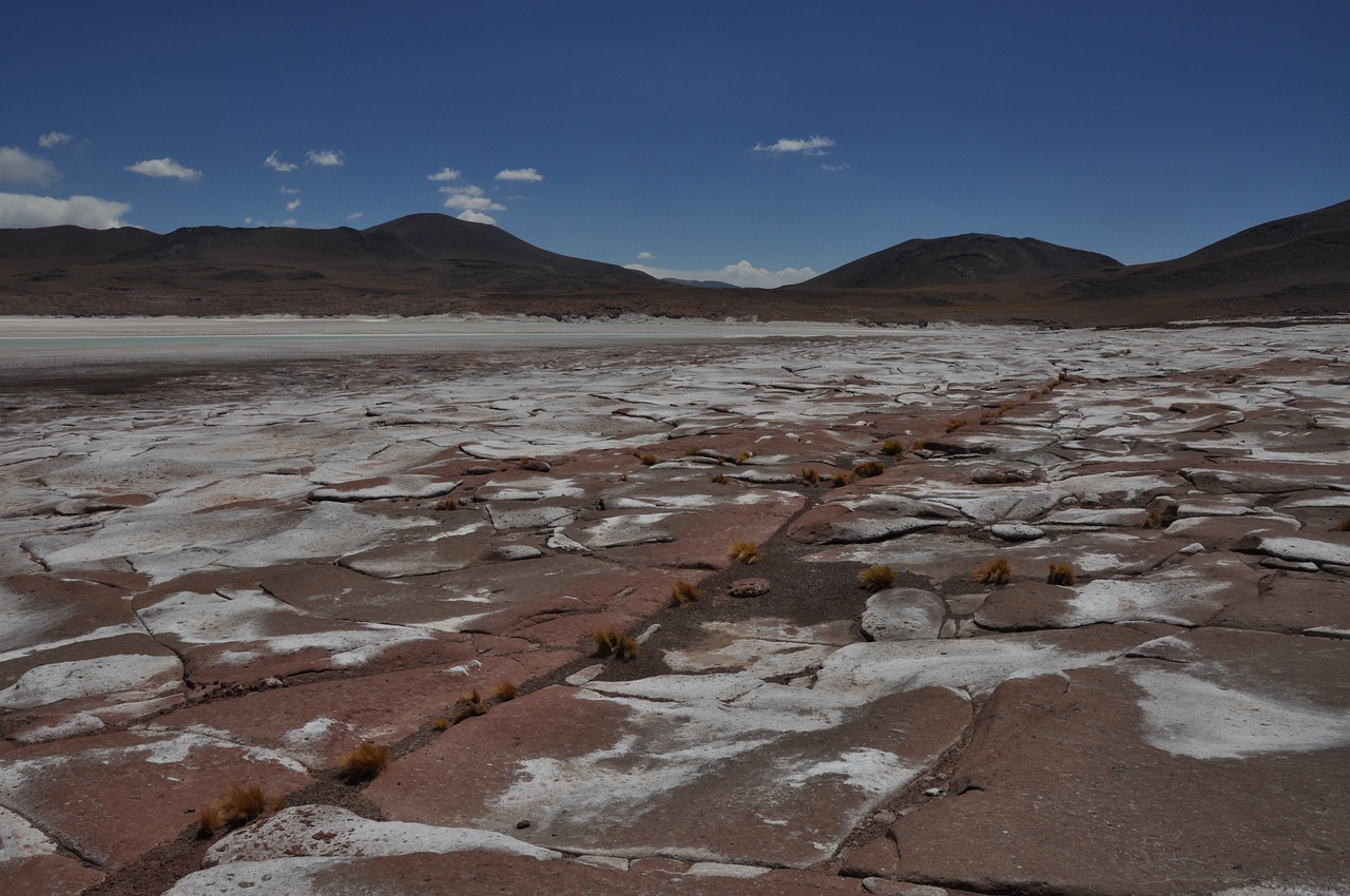 puna landscape desert free photo