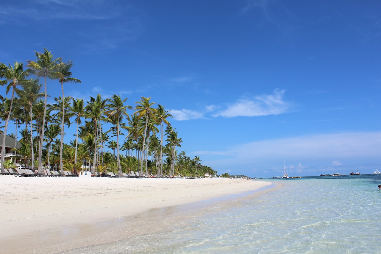 punta cana palms dominican republic free photo