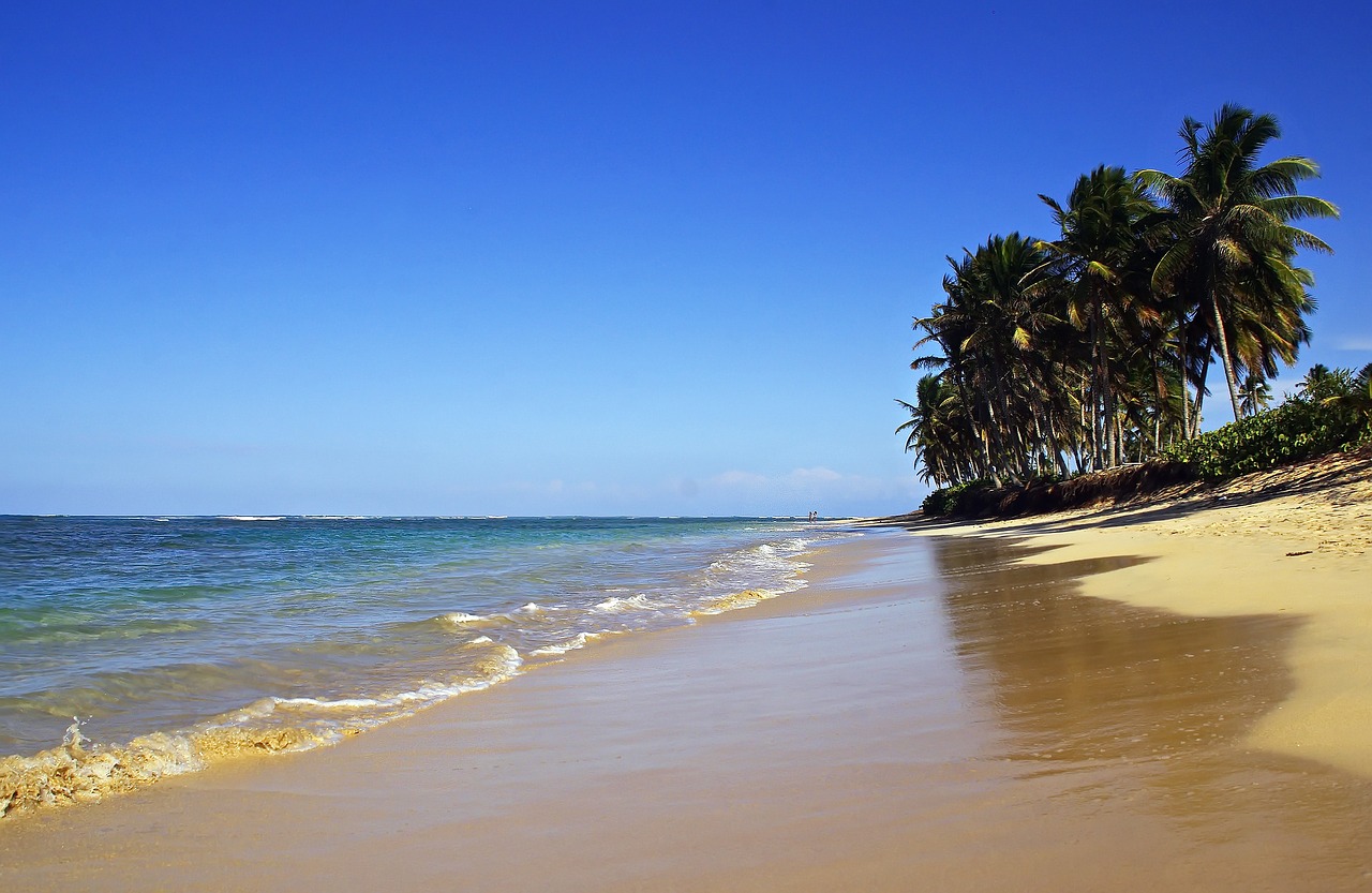 punta cana bavaro beach free photo