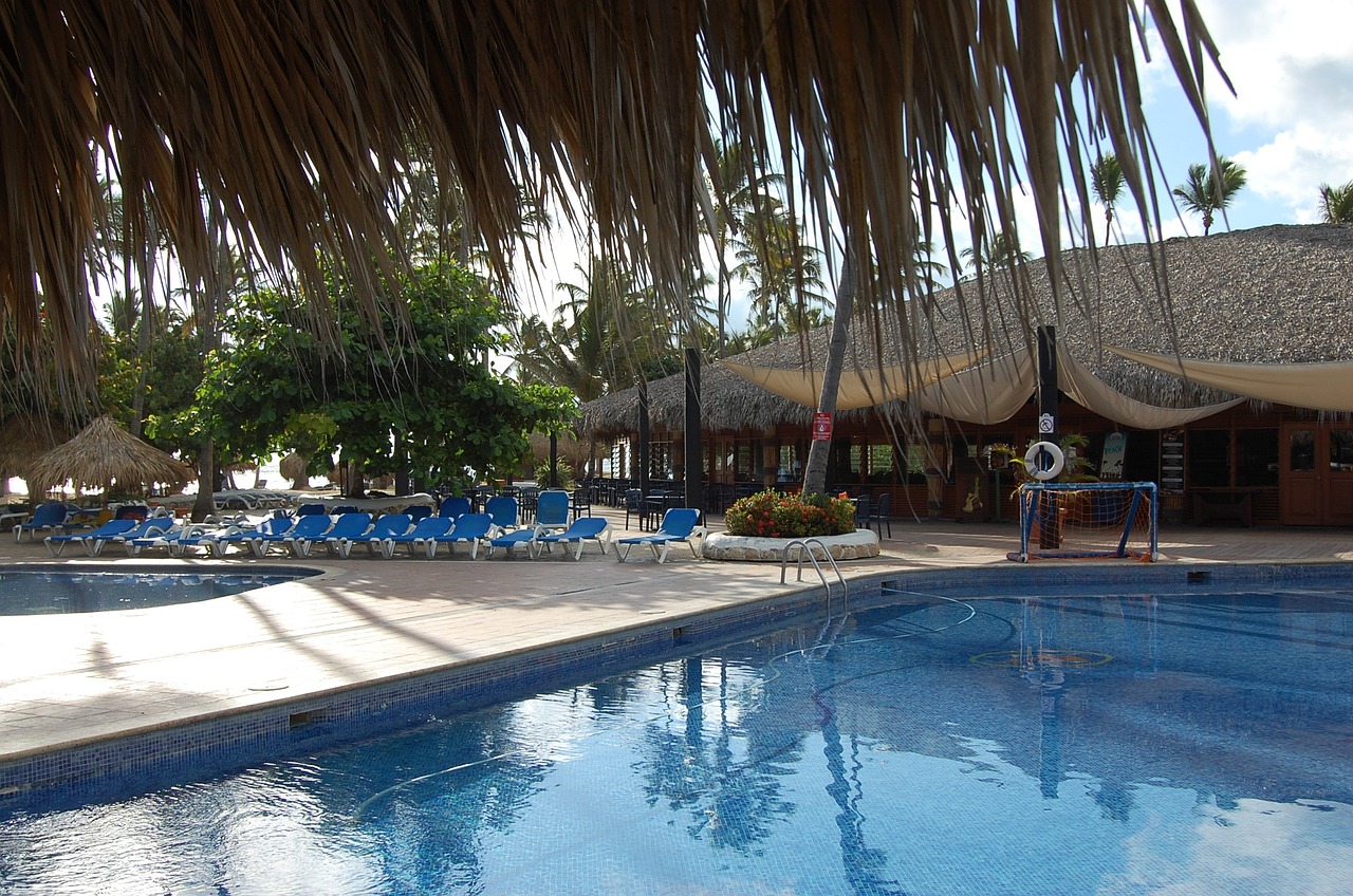 punta cana caribbean palms free photo