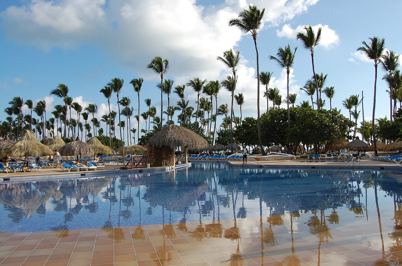 punta cana caribbean palms free photo