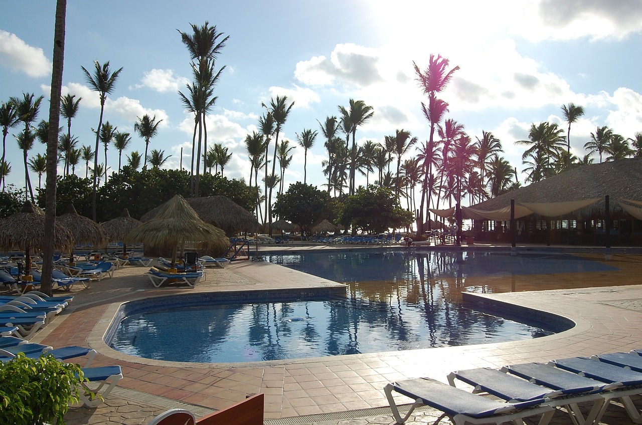 punta cana caribbean palms free photo