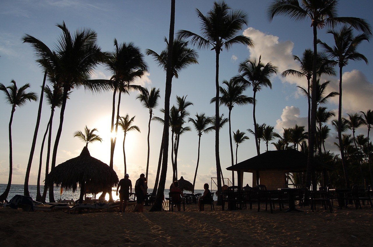 punta cana caribbean palms free photo