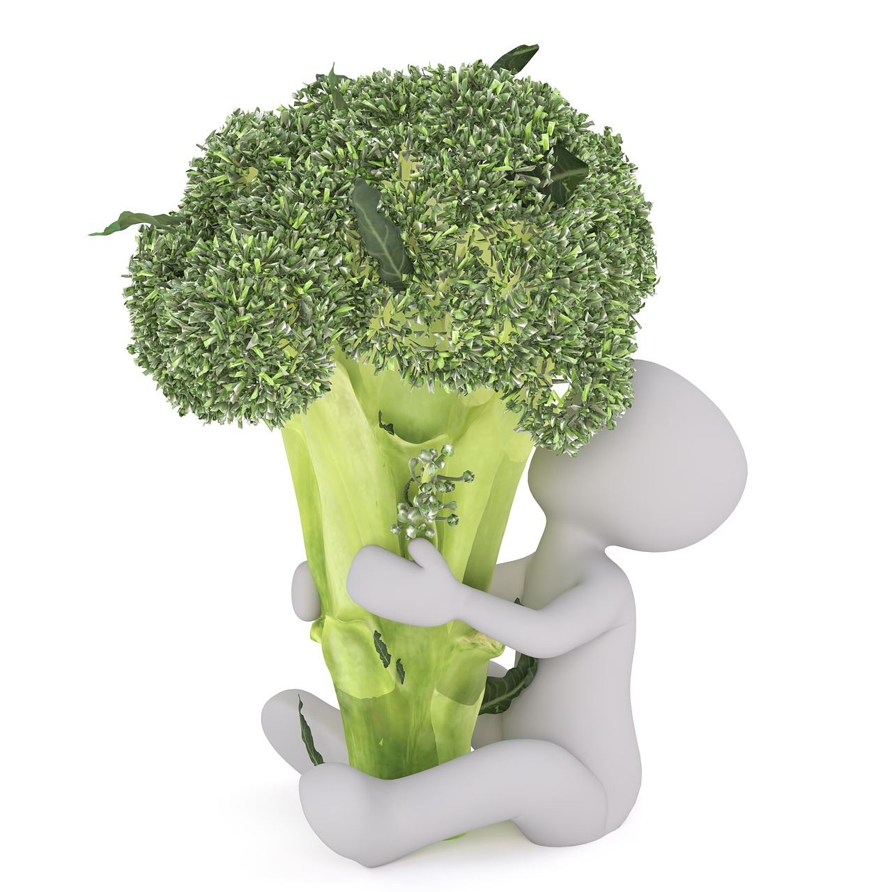 purchasing food broccoli free photo