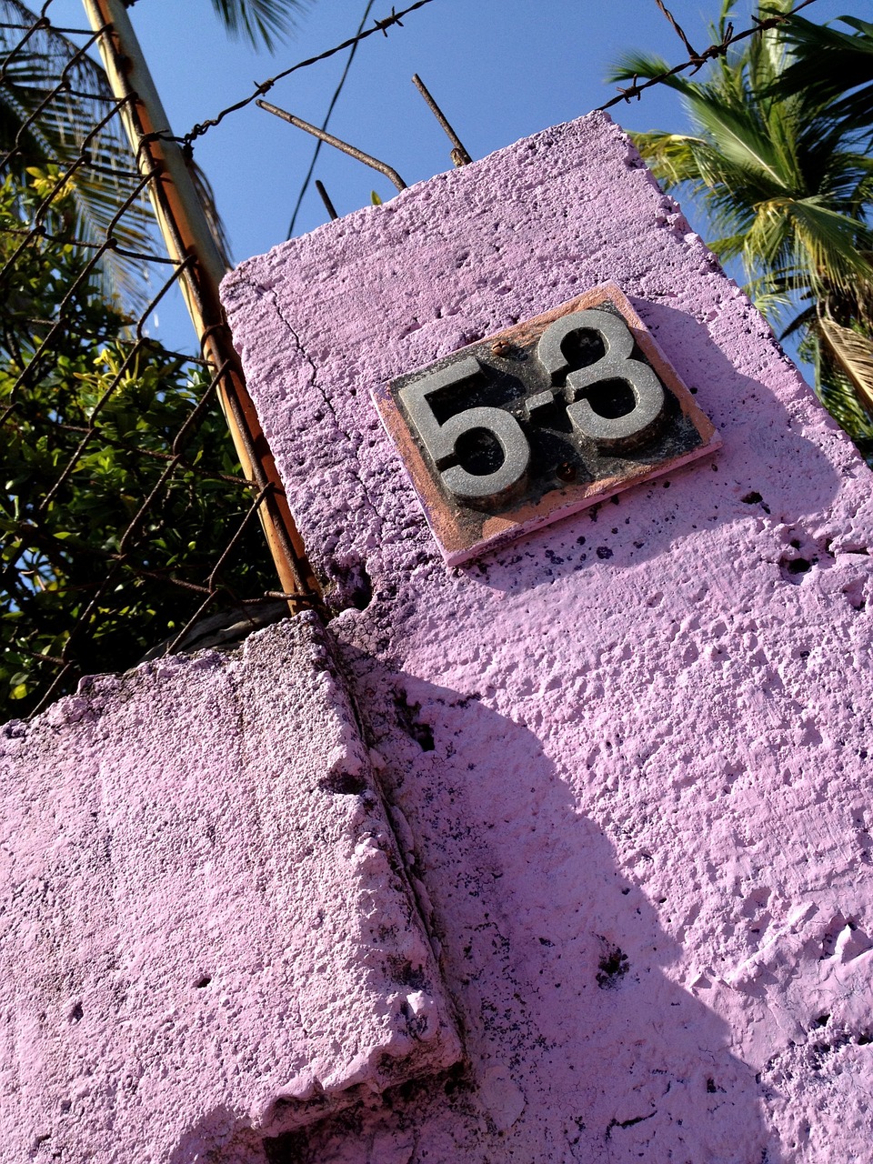 purple numbers colorful free photo