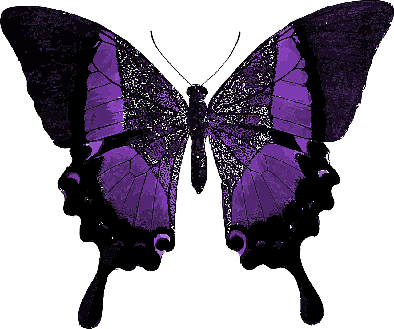 purple butterfly colorful free photo
