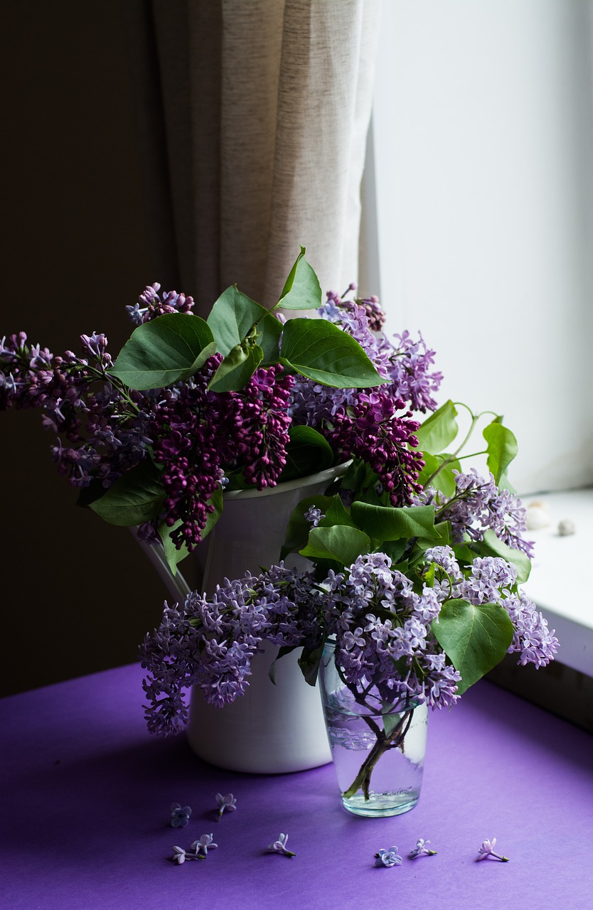 purple flower bloom free photo