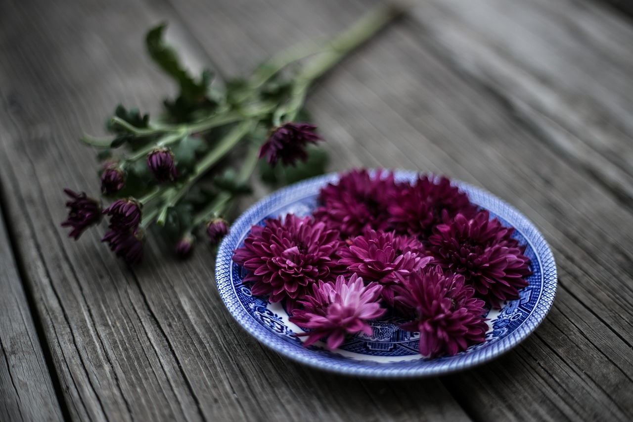 purple violet color free photo