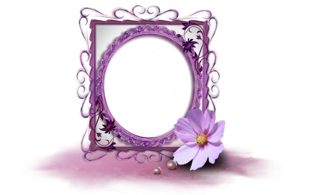 purple picture frame flower free photo