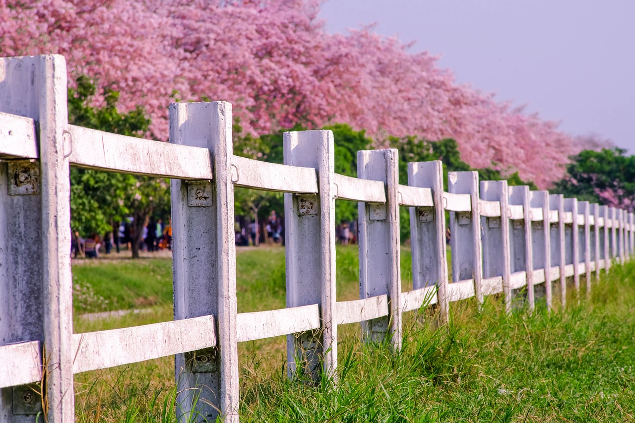 purple  fence  nature free photo