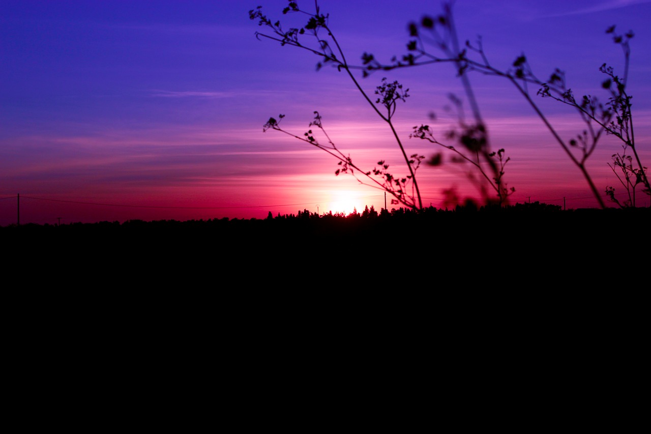 purple  sunset  sky free photo