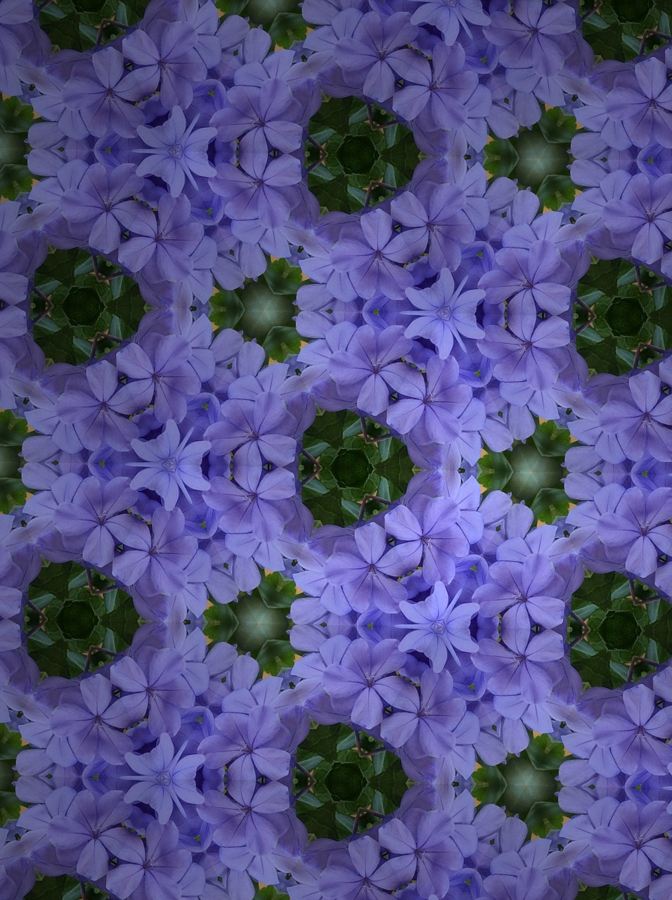 purple green pattern free photo