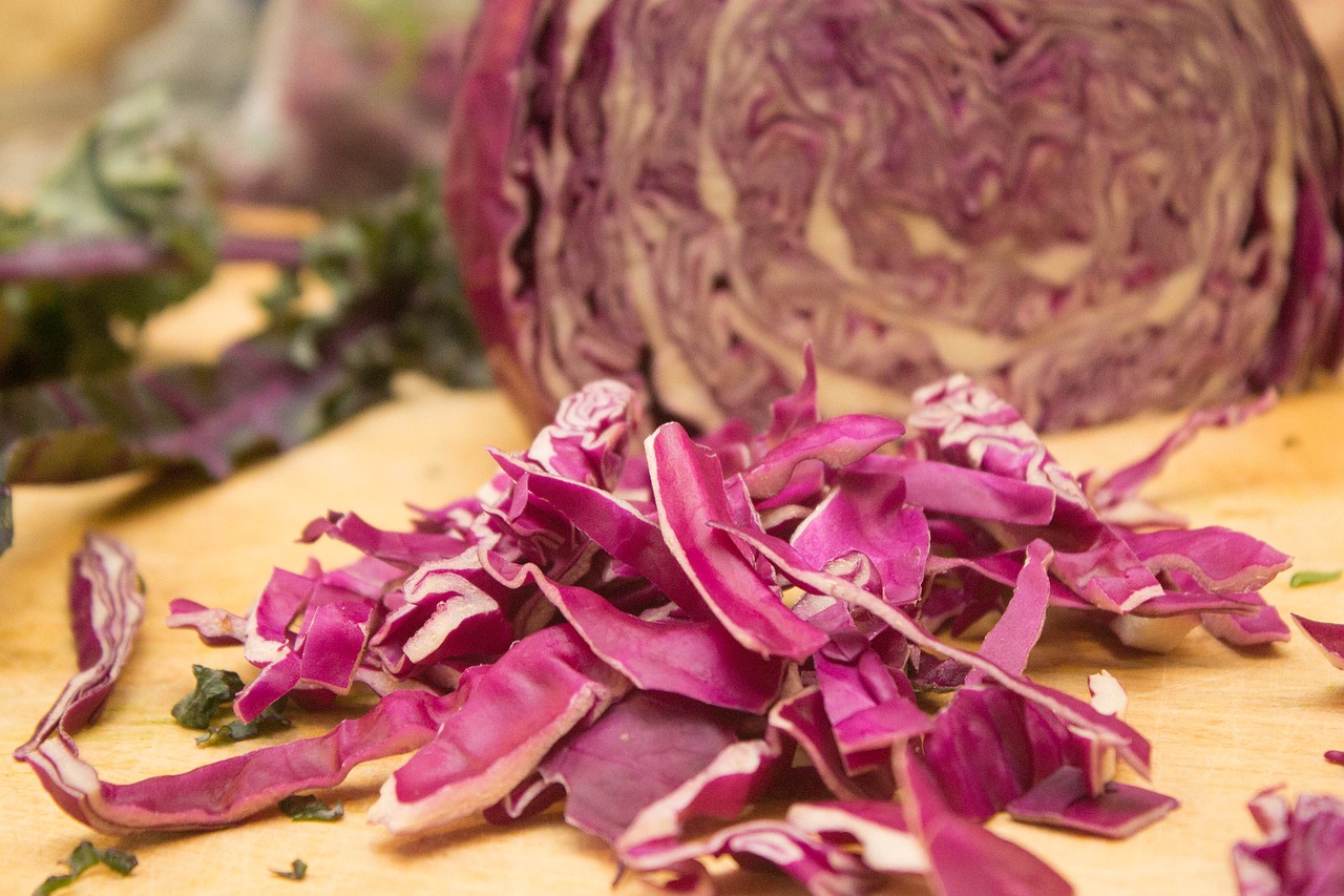 purple cabbage vegetable free photo