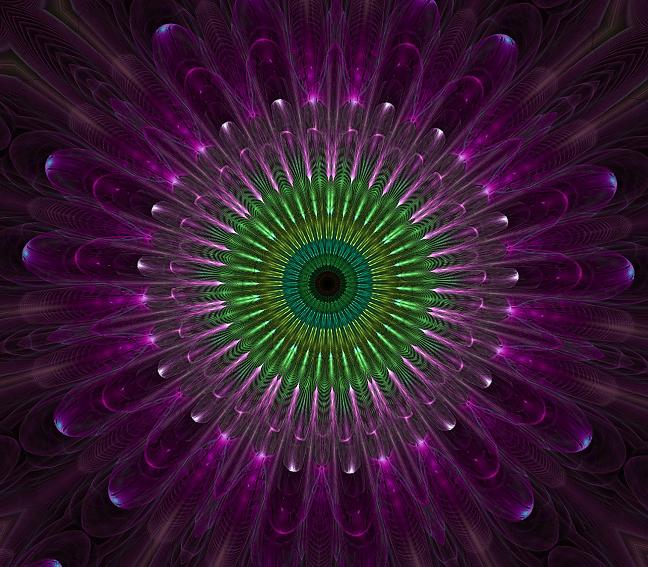 purple mandala fractal free photo
