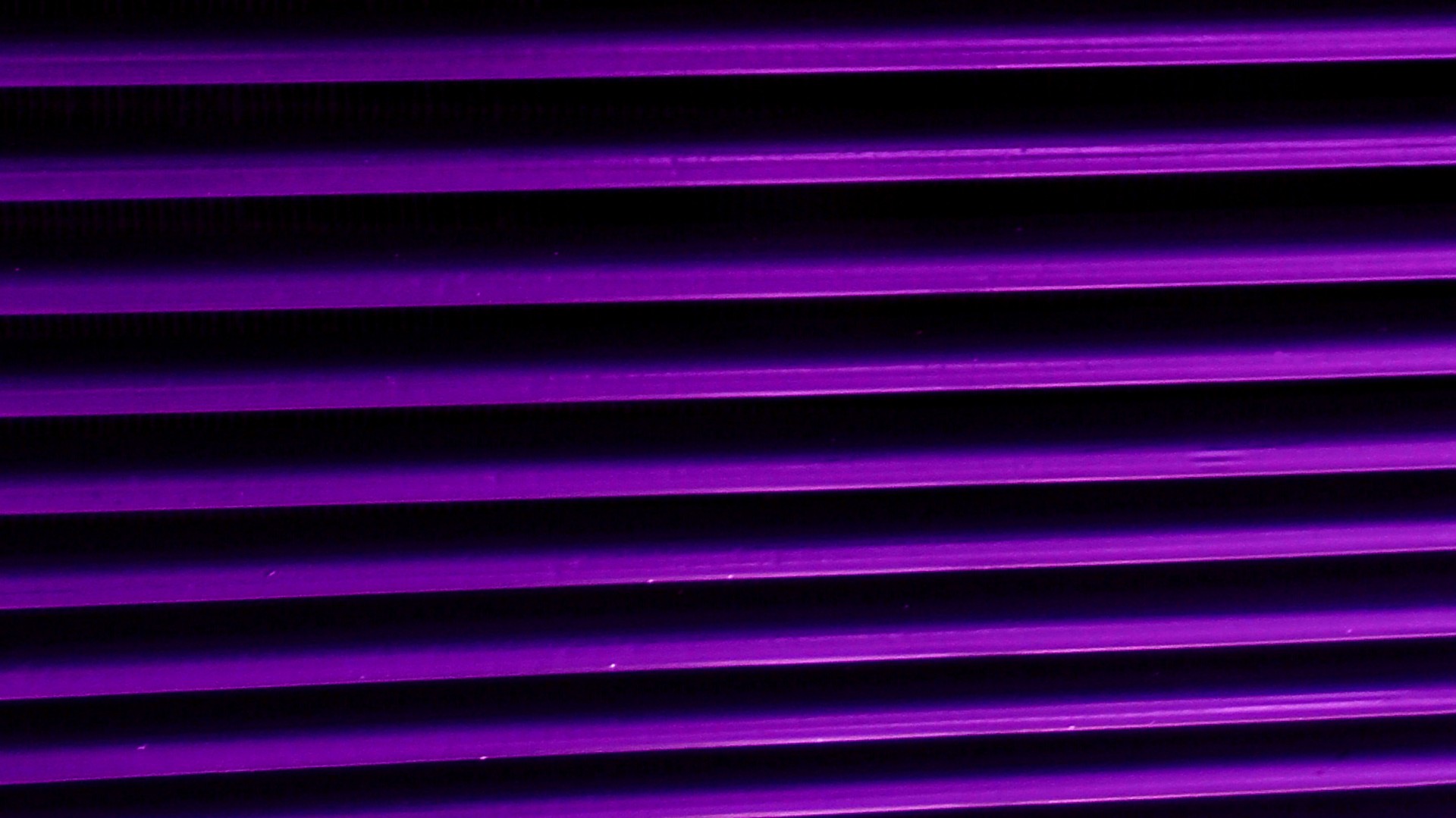 purple blinds blind free photo