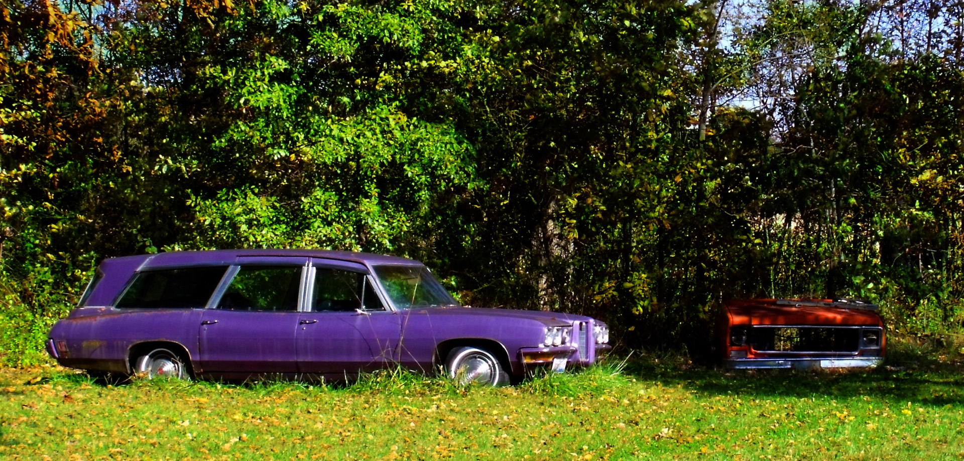 purple pontiac purple car orange car free photo