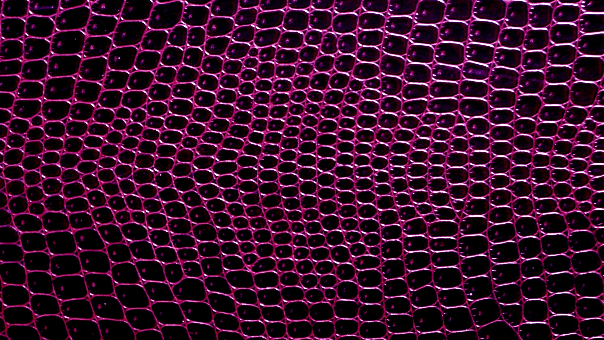 purple background web free photo