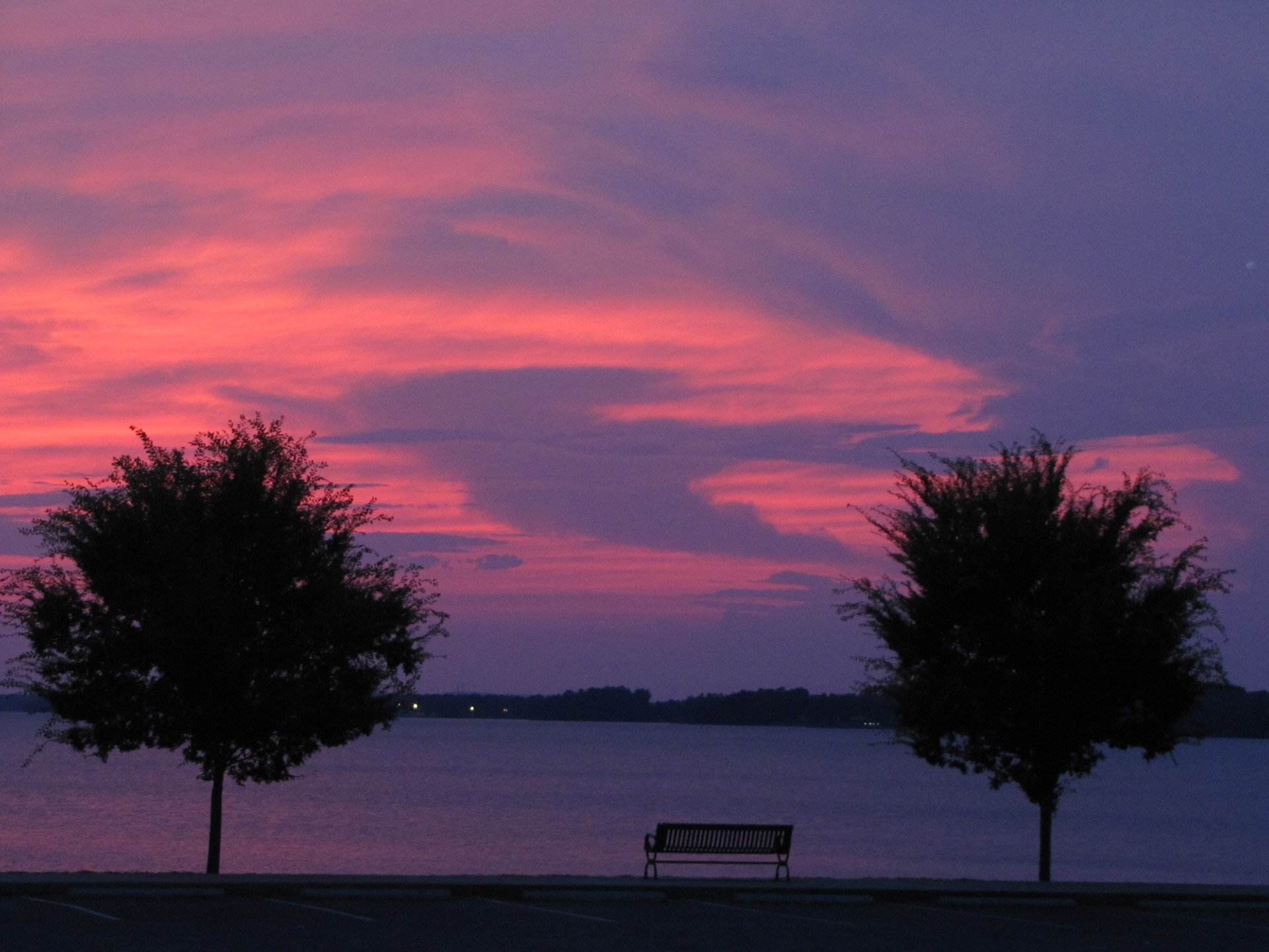 sunset purple dove free pictures free photo