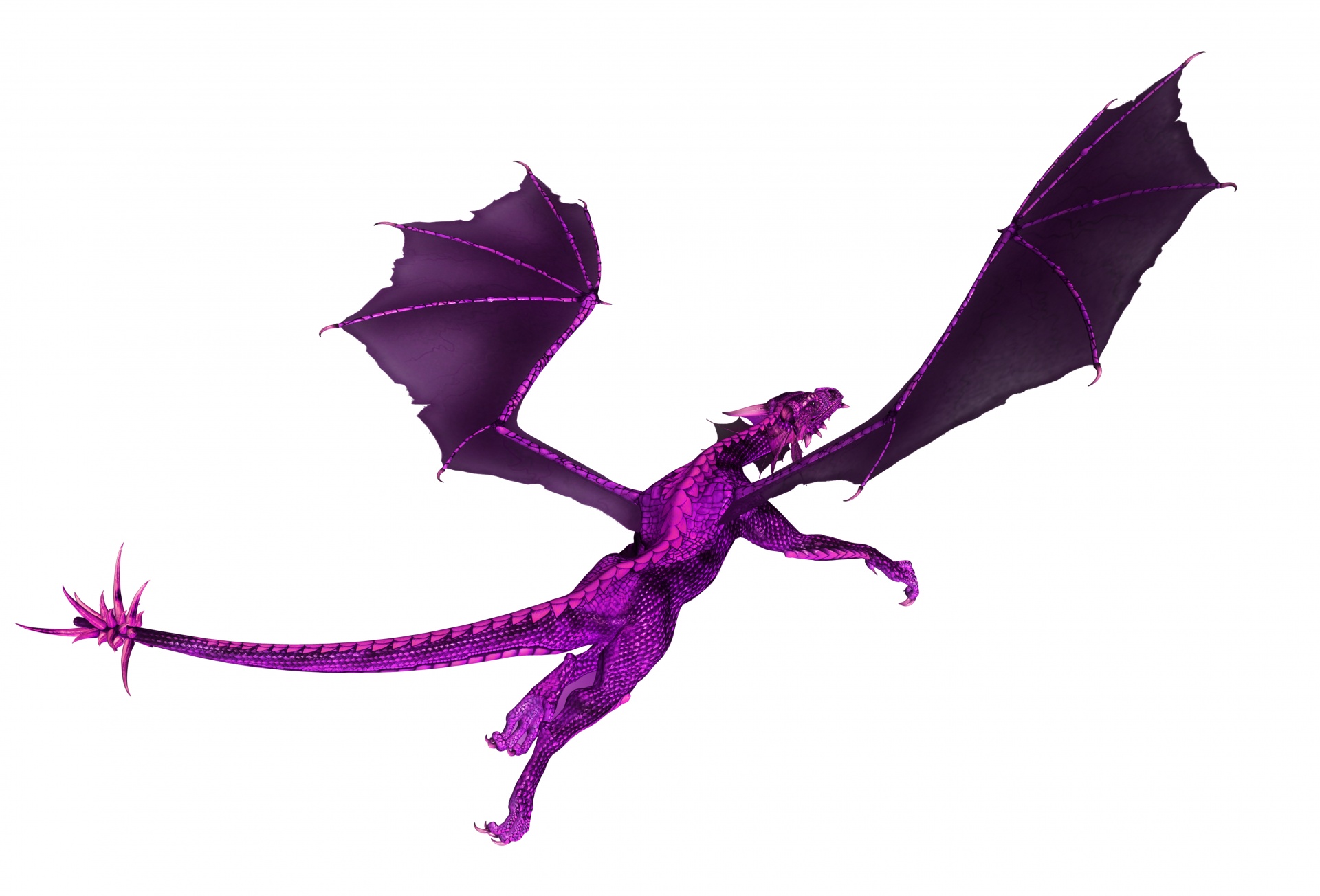 purple dragon flight clipart dragon dragons free photo