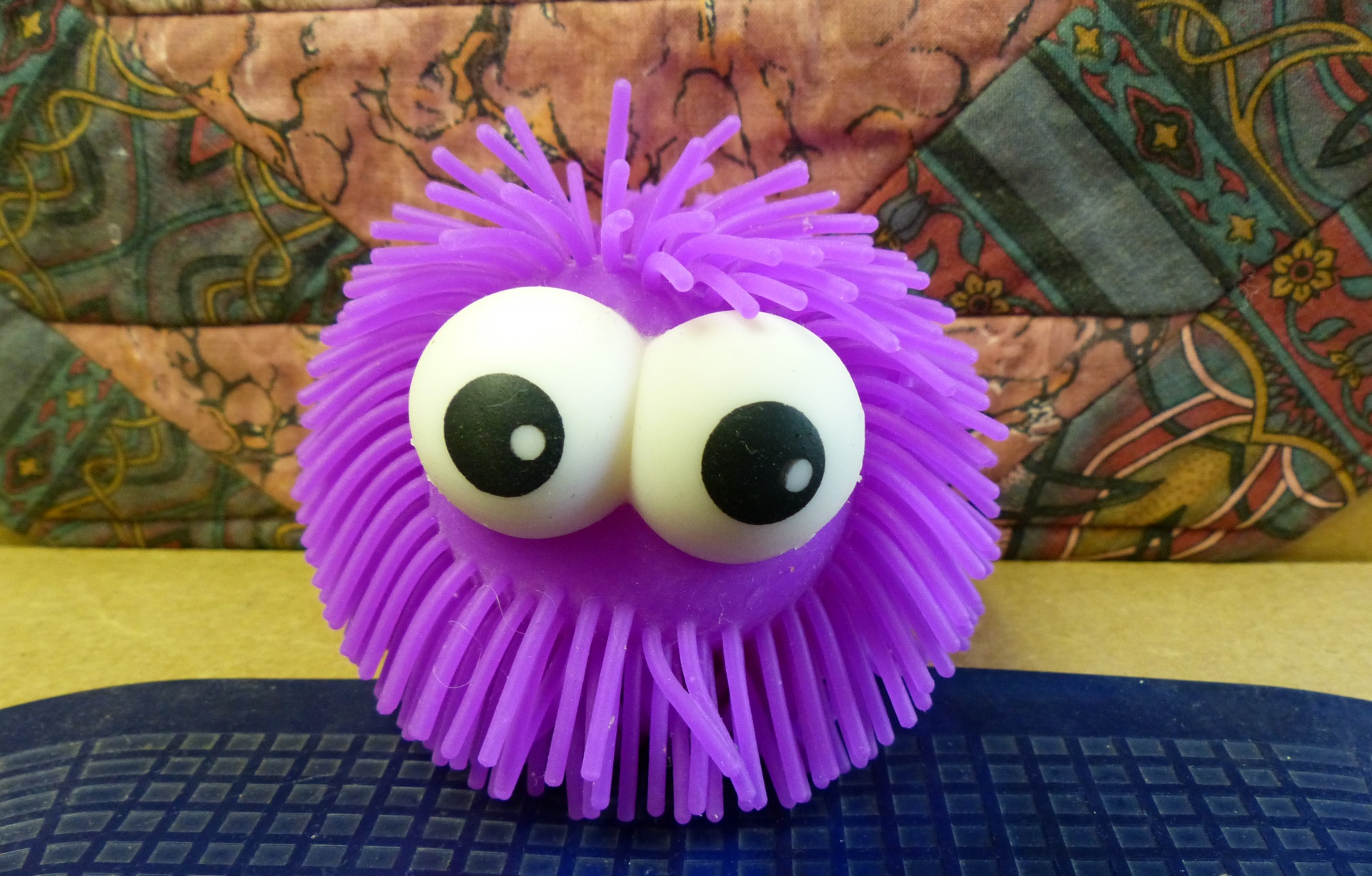 purple eyeballs toy free photo