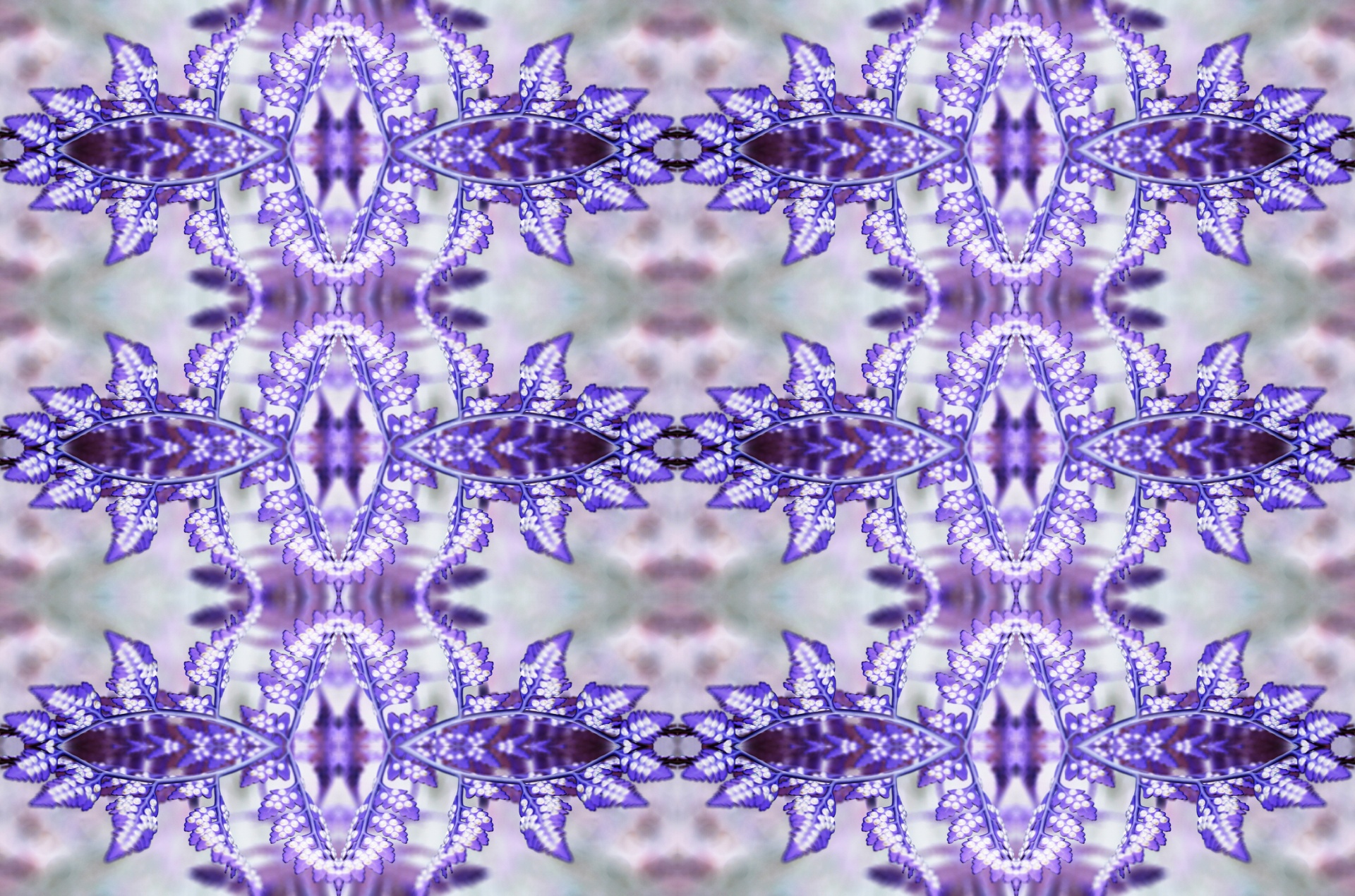 fern purple pattern free photo