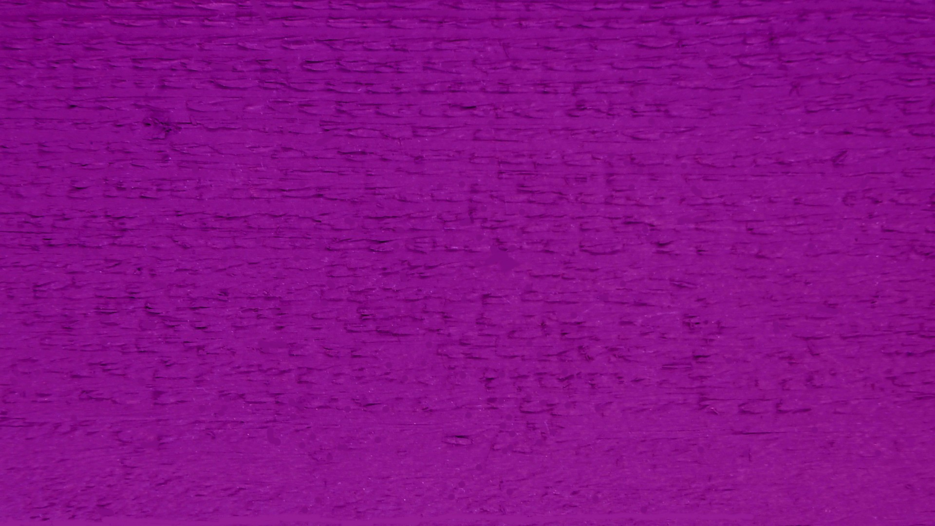 purple web website free photo