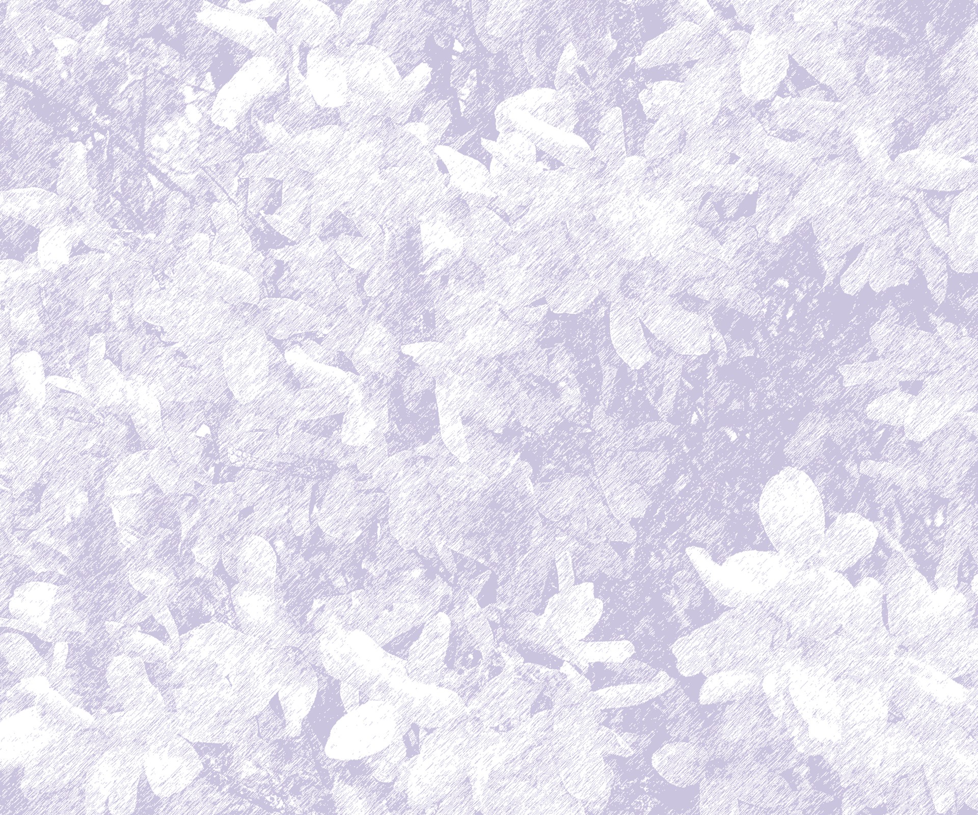 background purple lilac free photo
