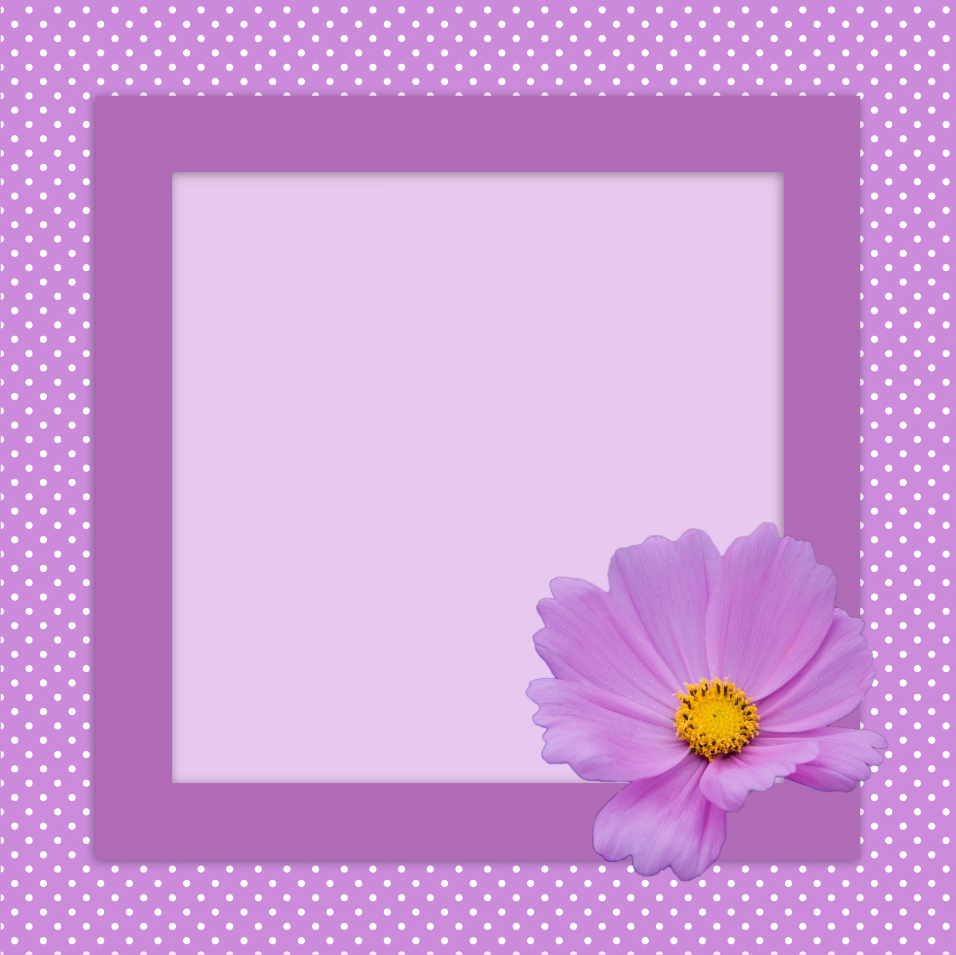 flower polka dots frame free photo