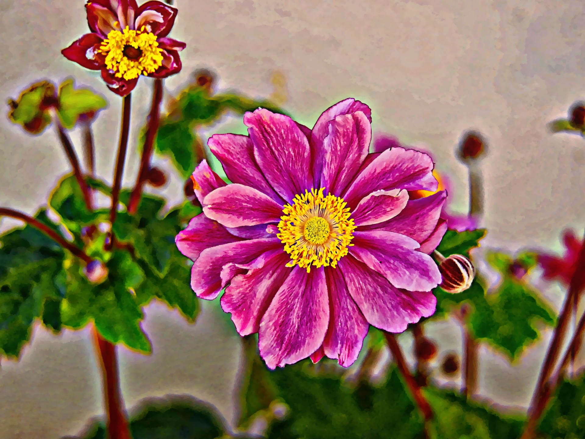 flower painting petals free photo