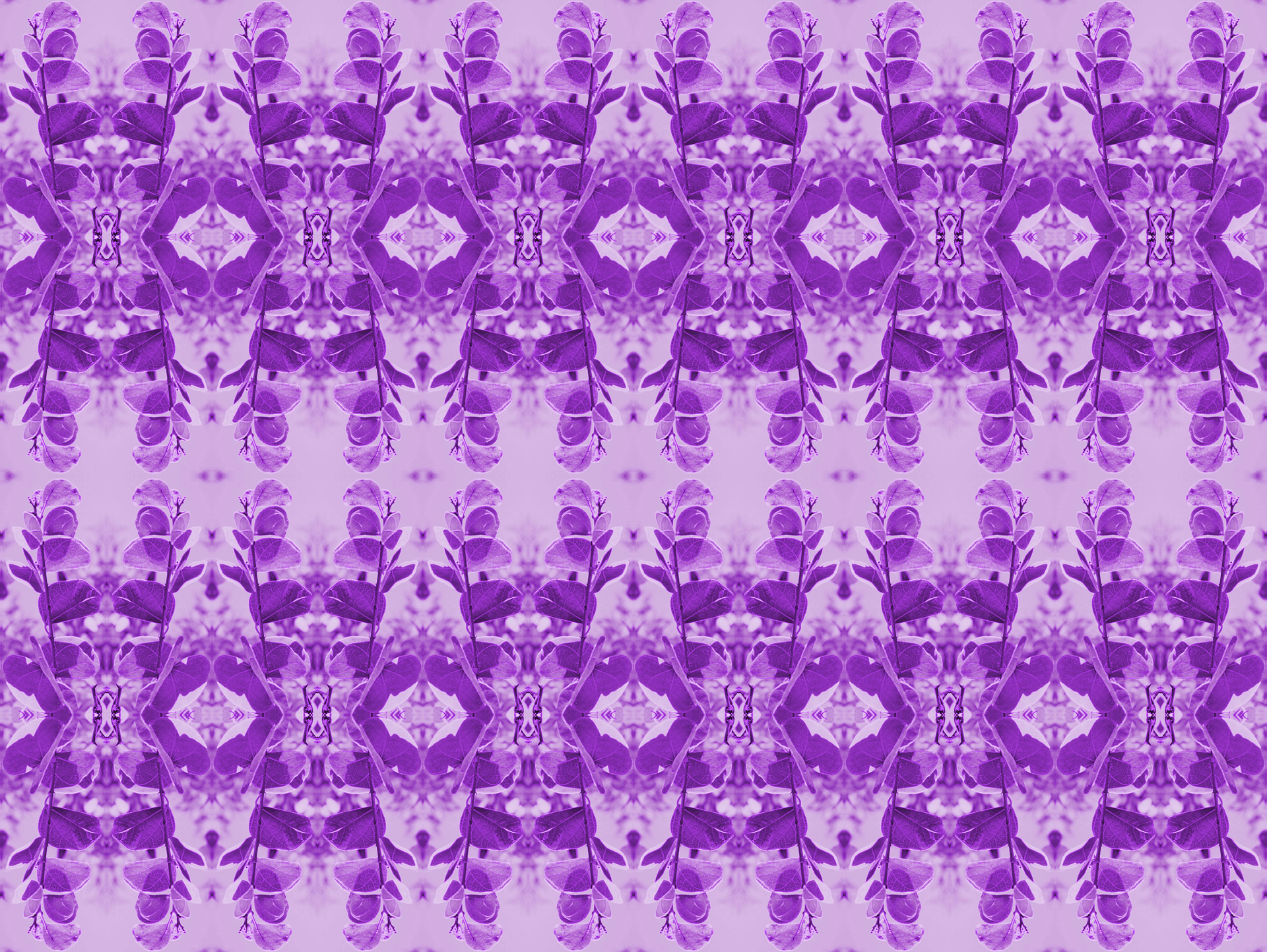 edit-free-photo-of-background-wallpaper-pattern-leaf-print-purple-needpix