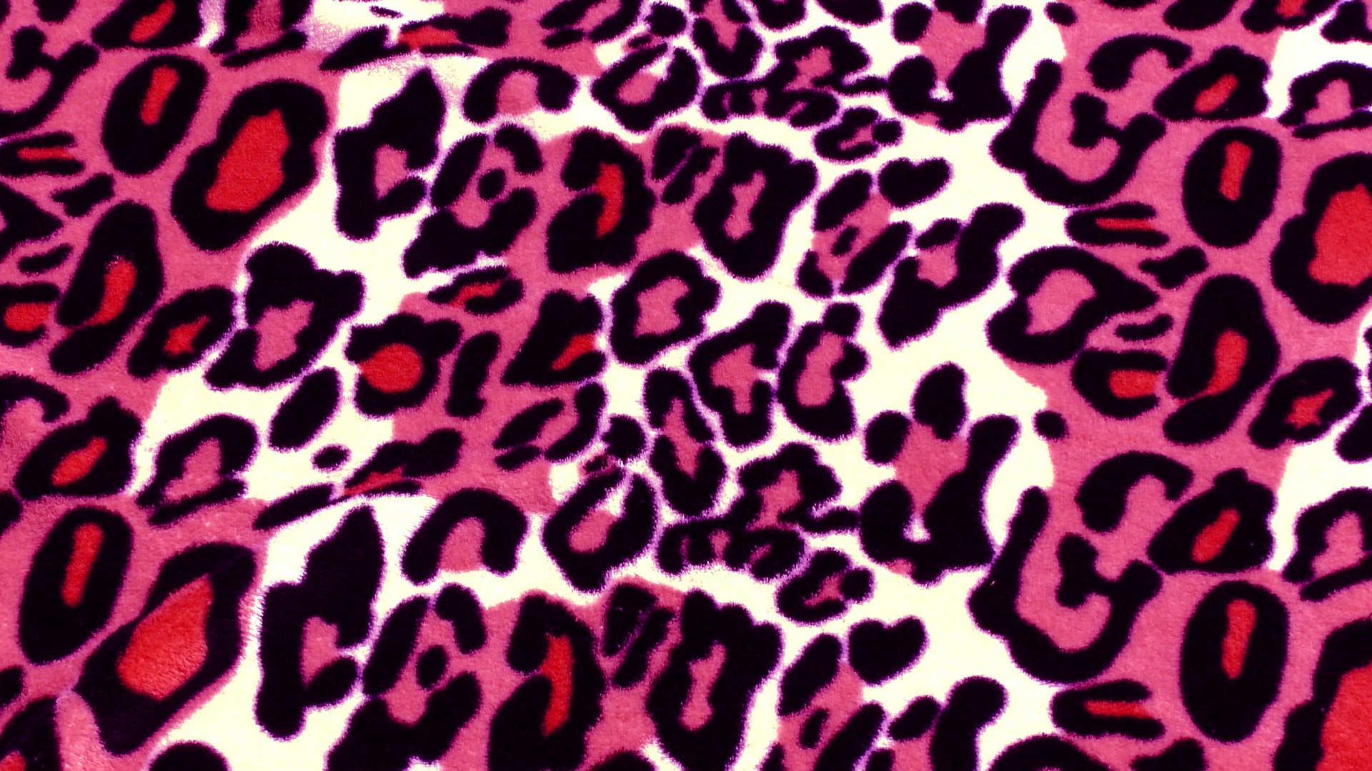 purple leopard skin free photo