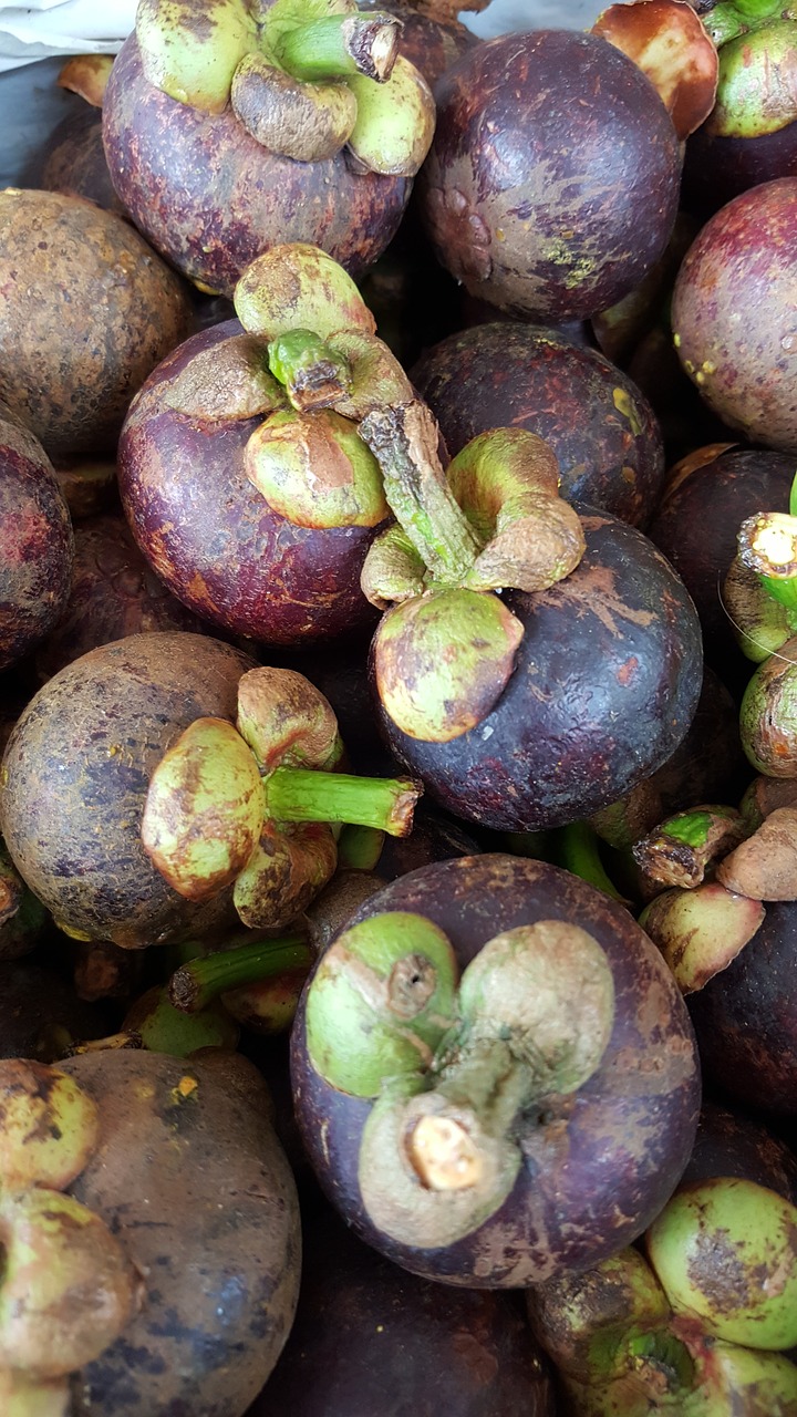 purple mangosteen purple fruits free photo