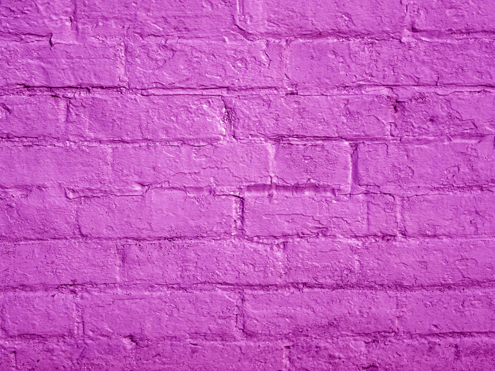 purple background web free photo