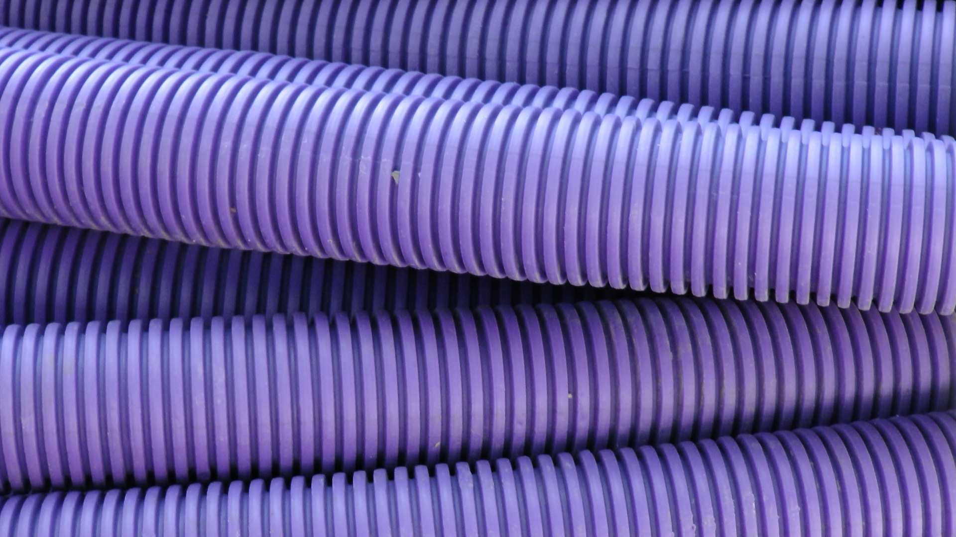 purple plumber plumbers free photo