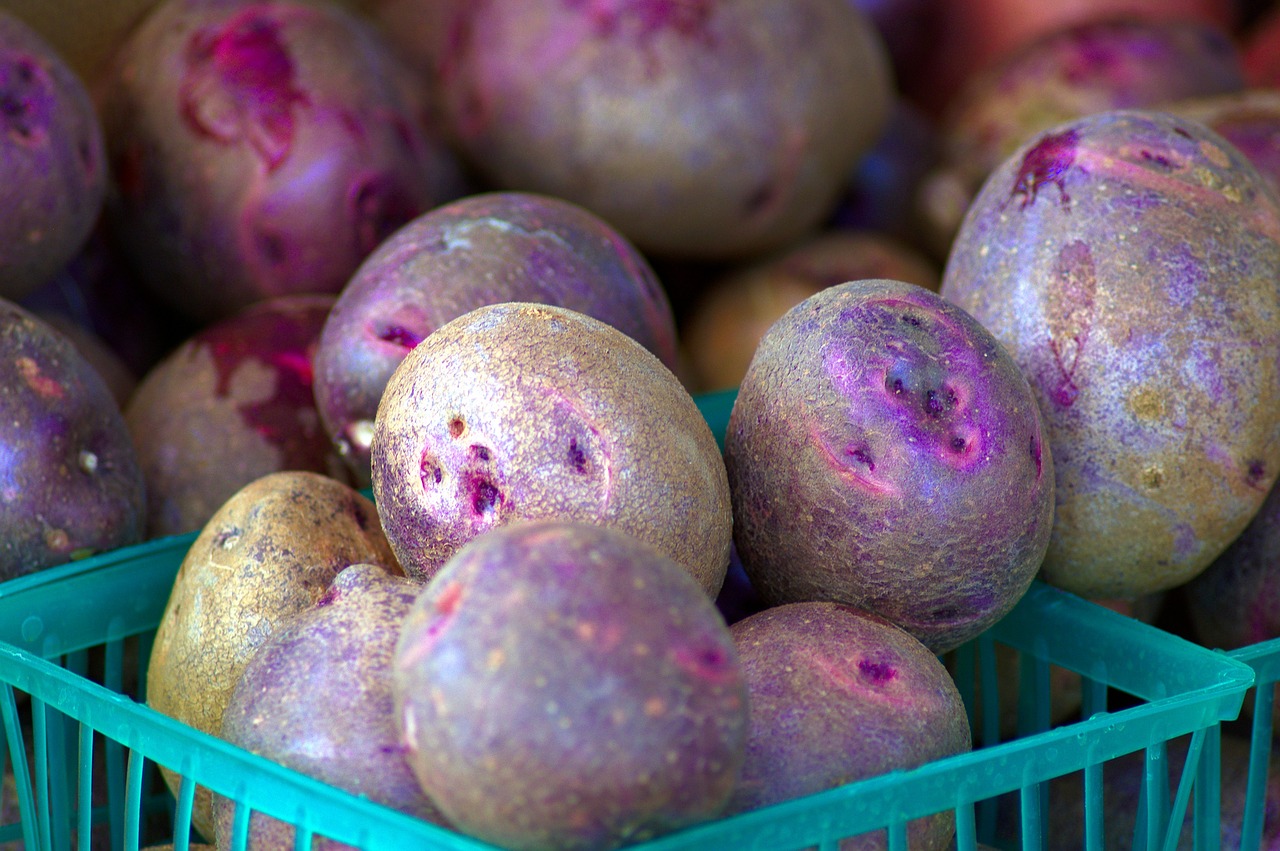 purple potatoes at market  potatoes  market free photo