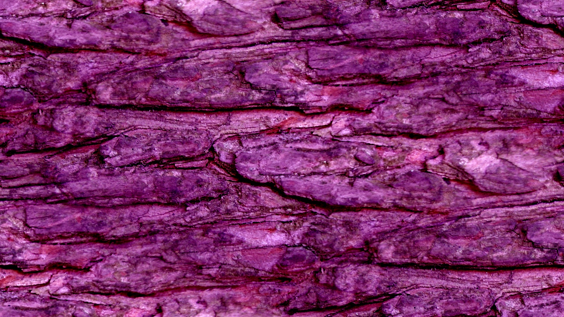 purple wallpaper background free photo