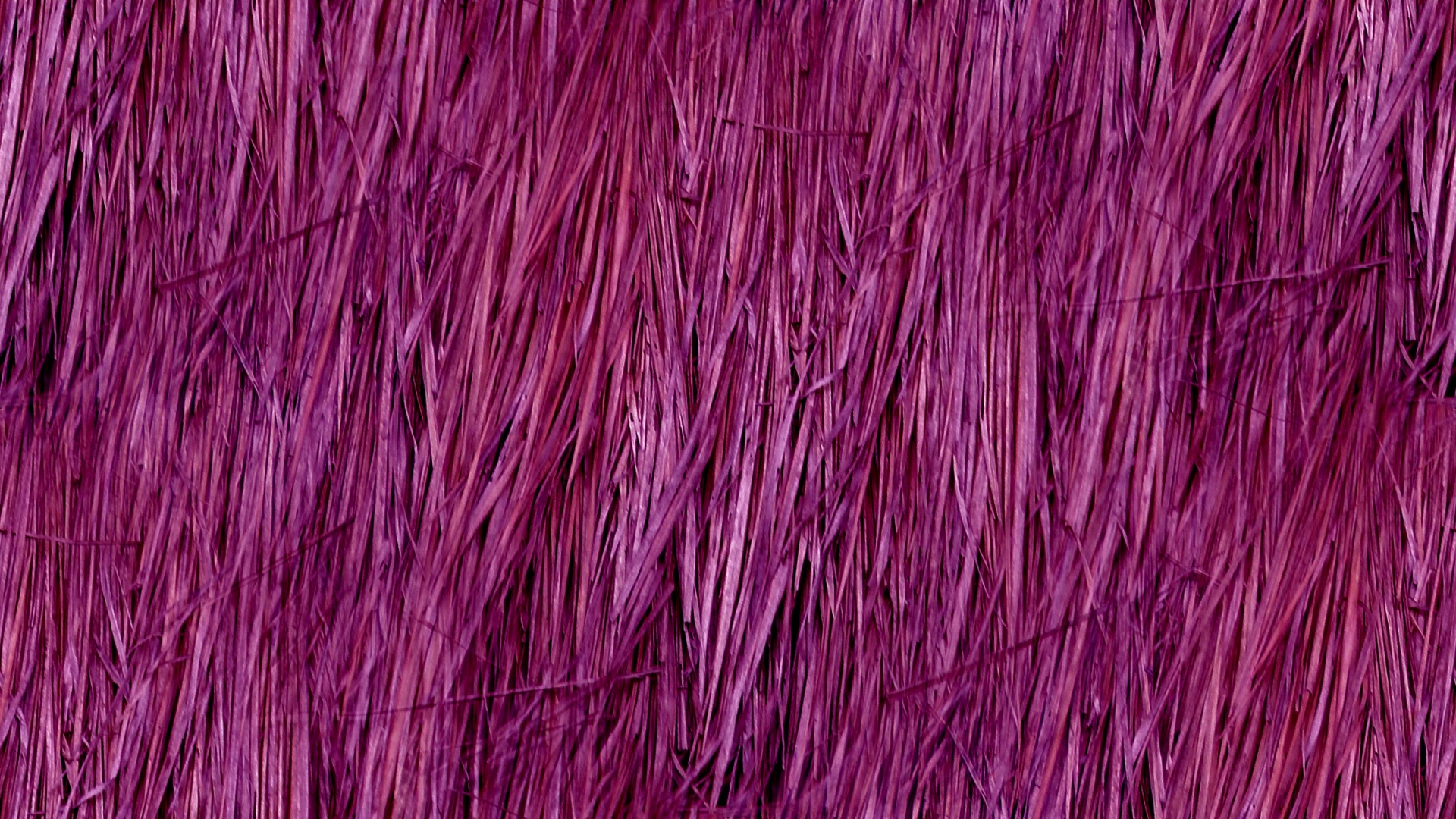 purple background web free photo