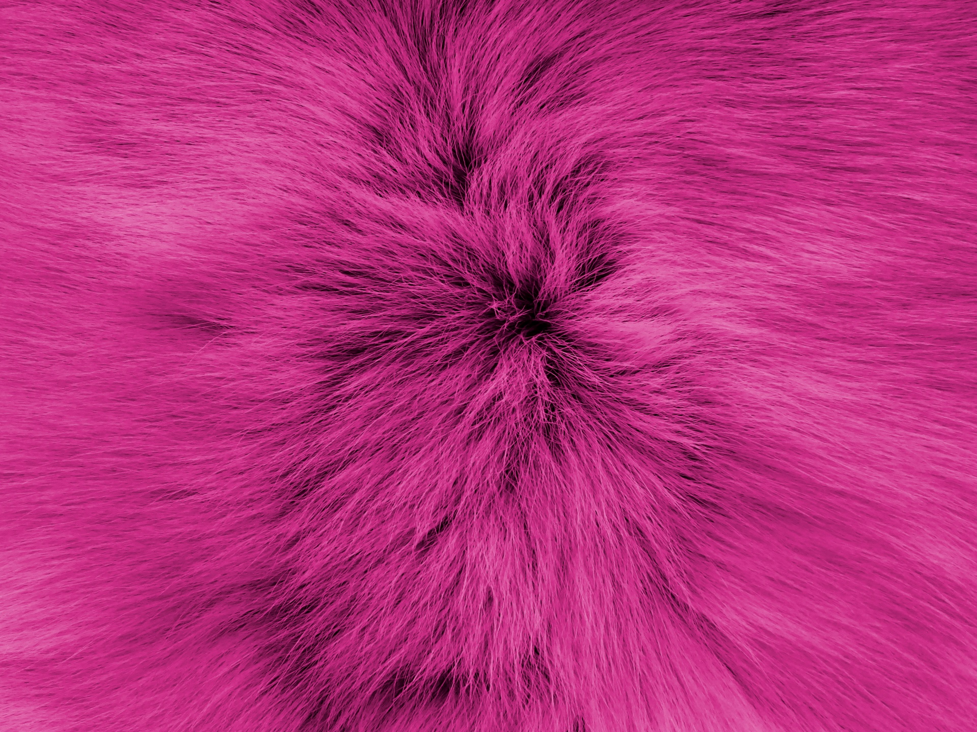 purple backgrounds fur free photo
