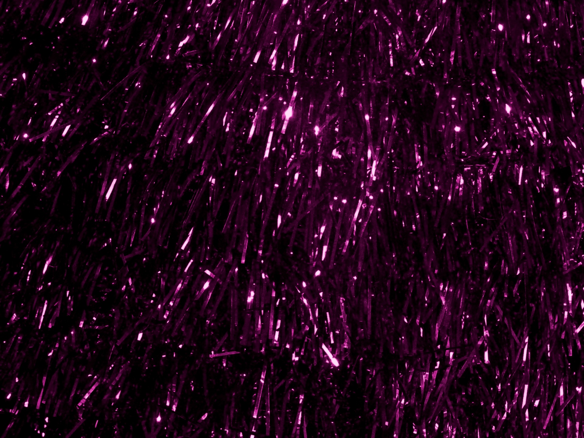 purple backgrounds sparkle free photo