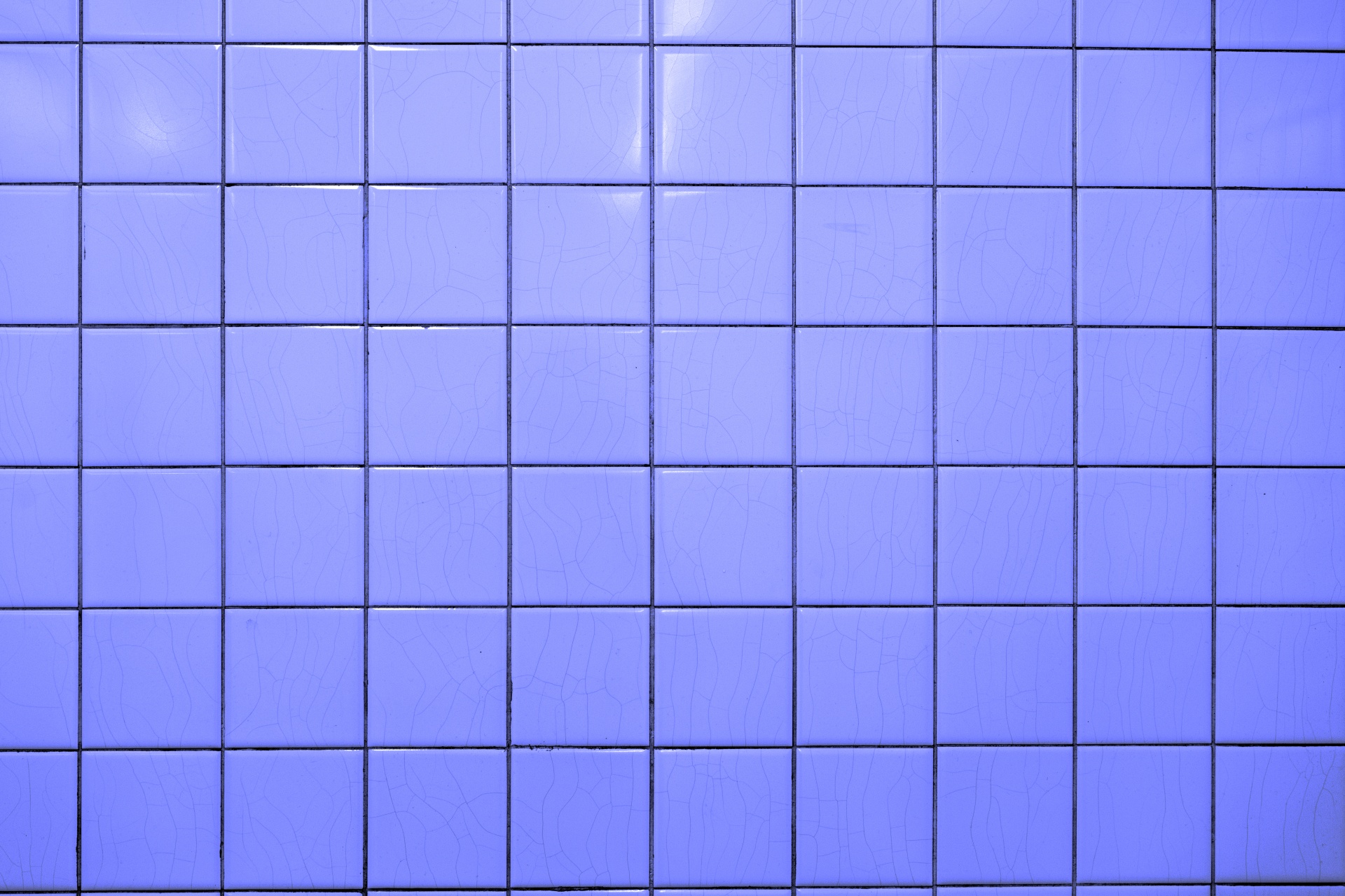 tile tiled white free photo