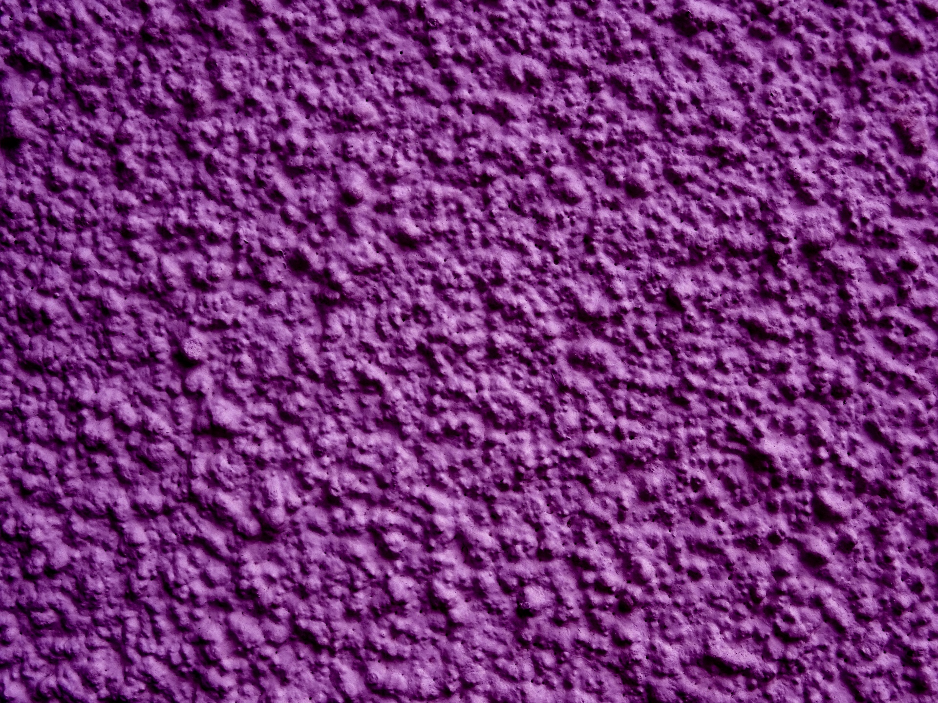 purple background web free photo